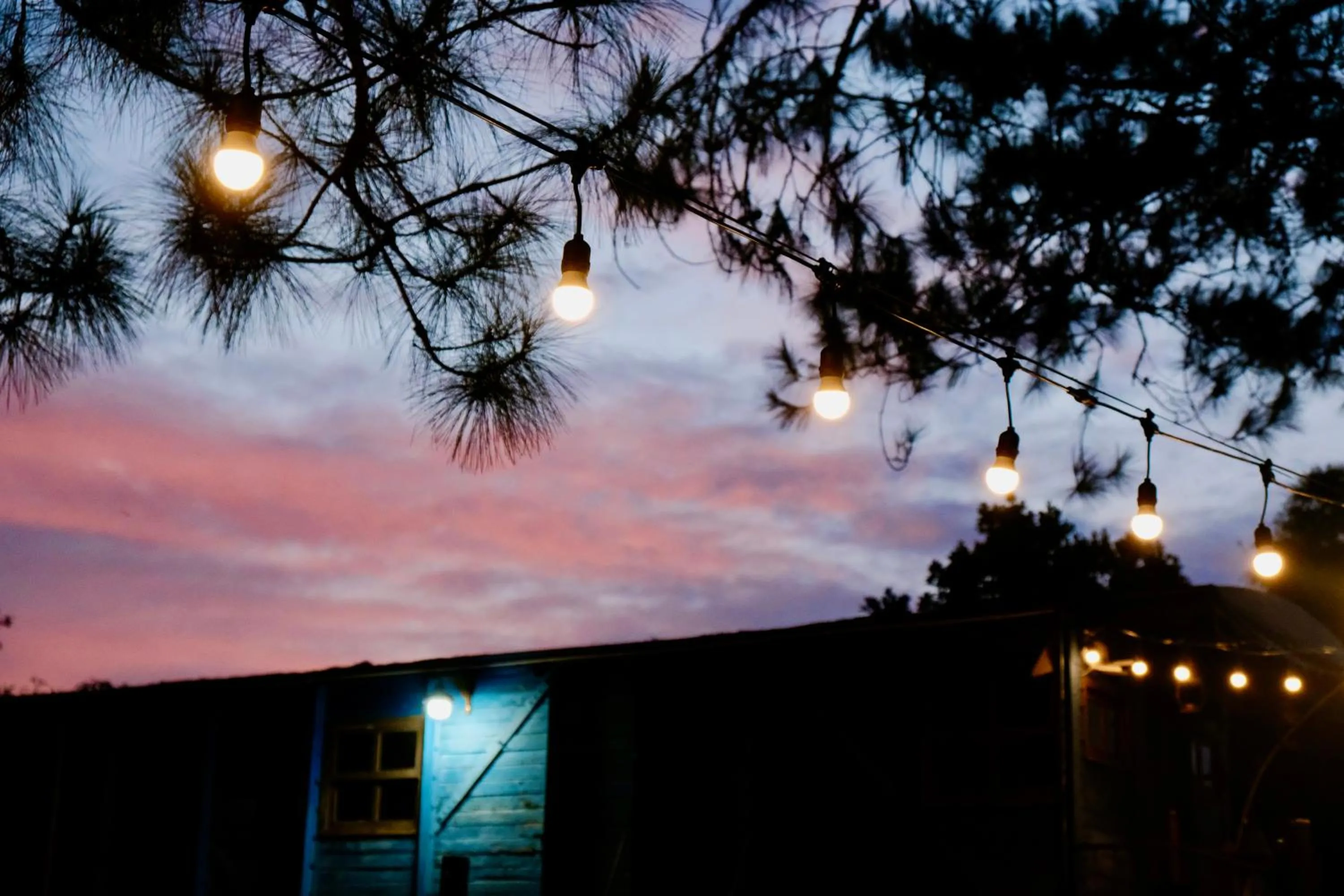 Night in Dalat Train Village