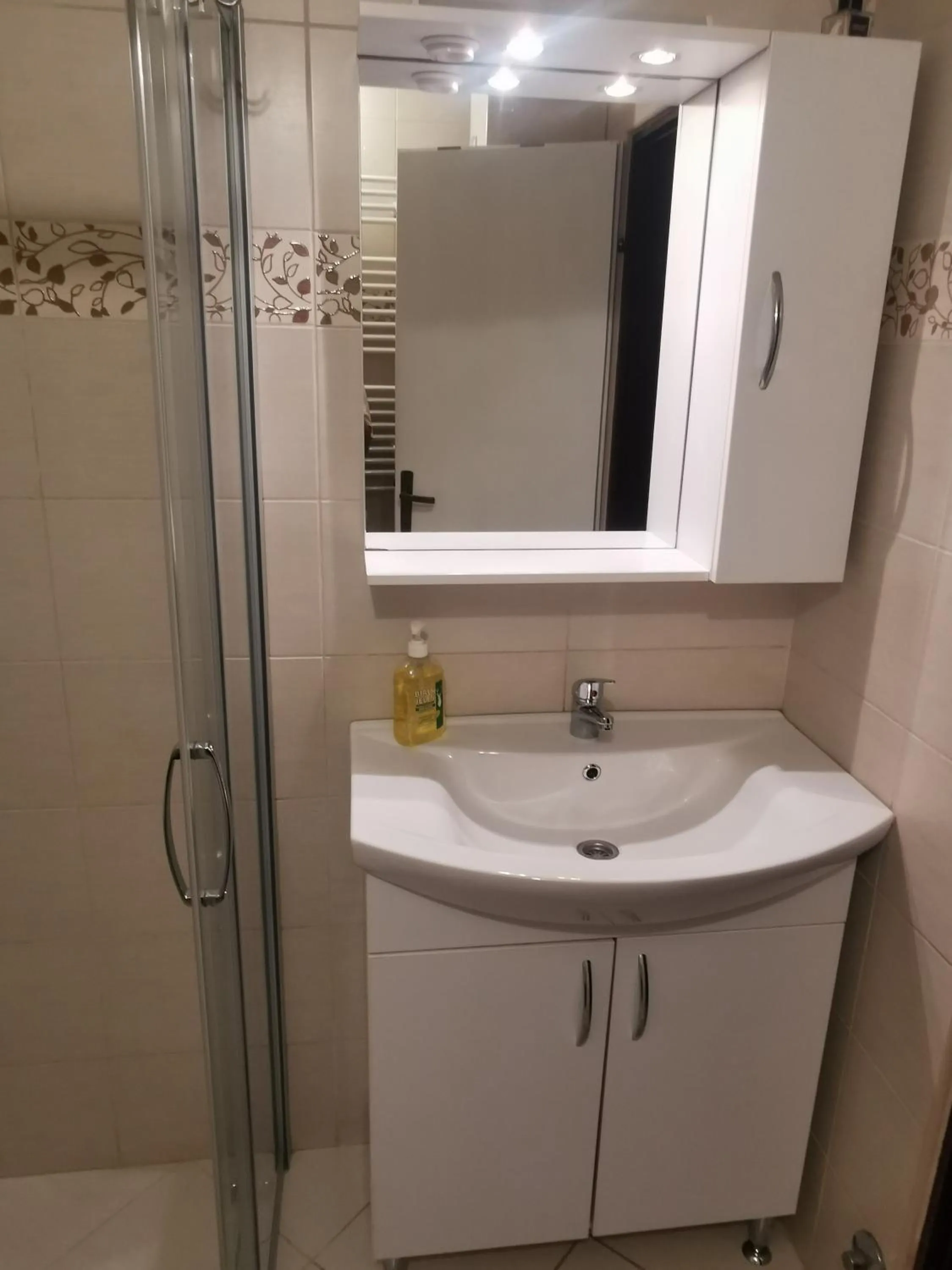 Toilet in Apartment Milka