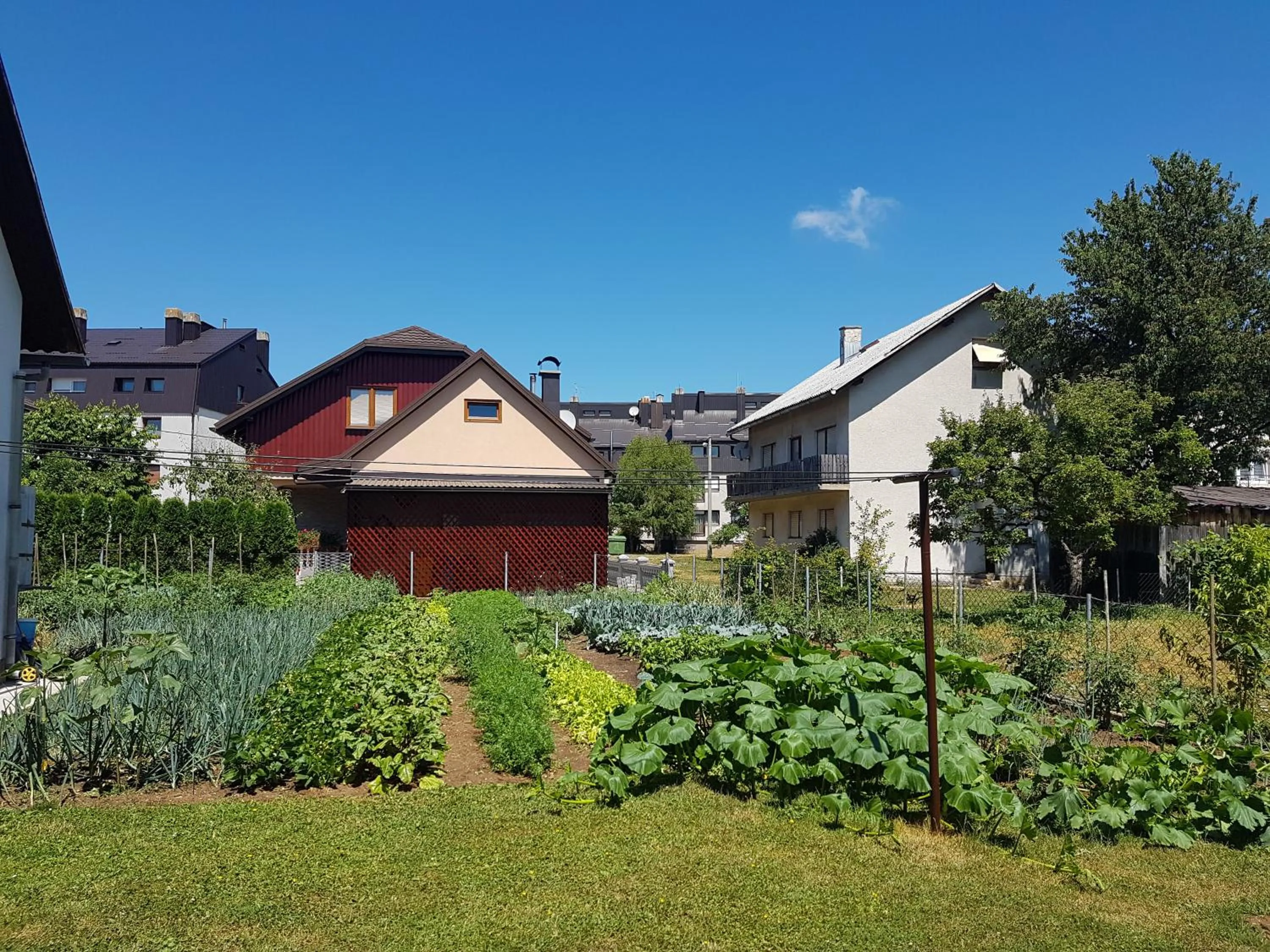 Spring in Apartment Milka