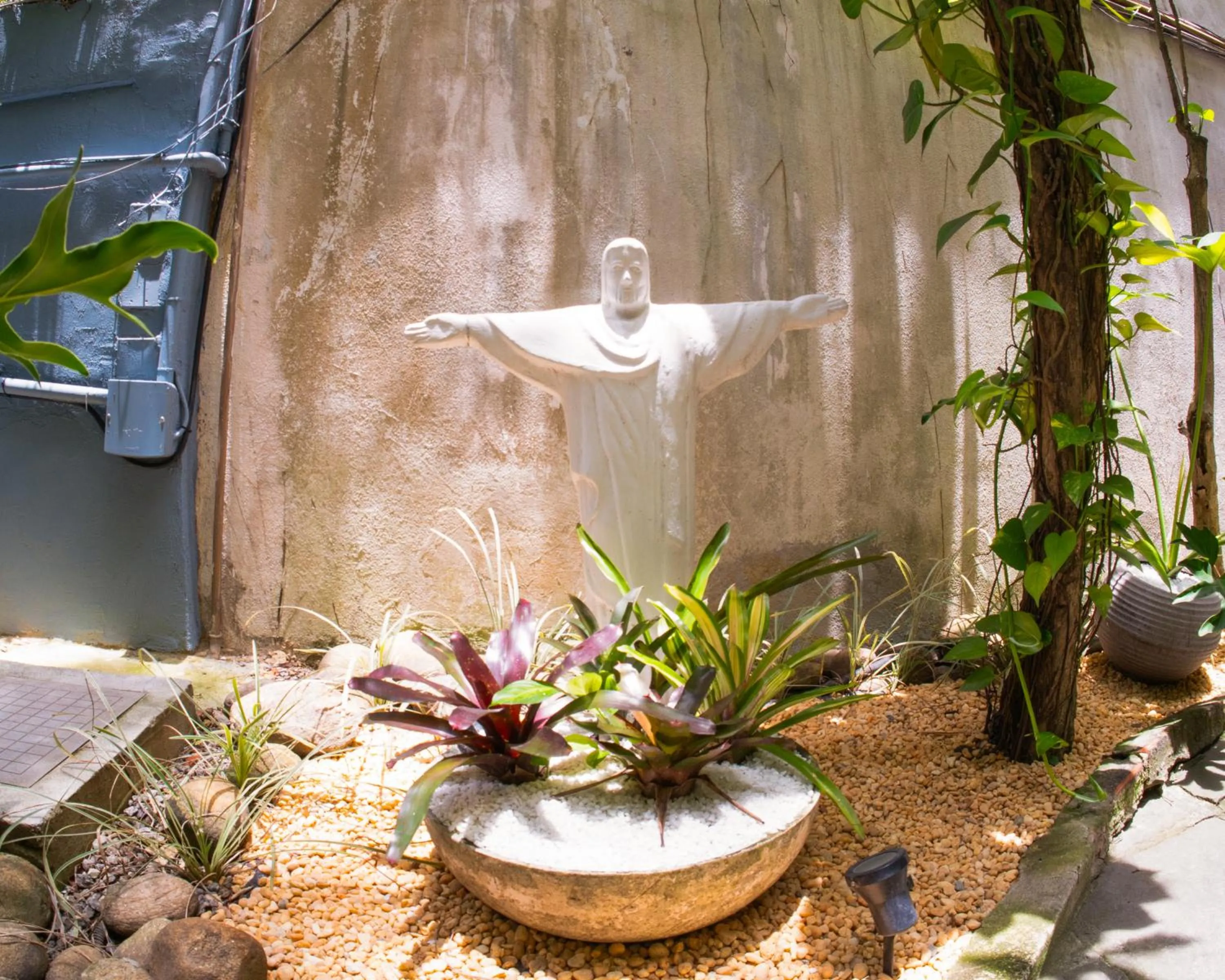 Garden in Mango Tree Ipanema