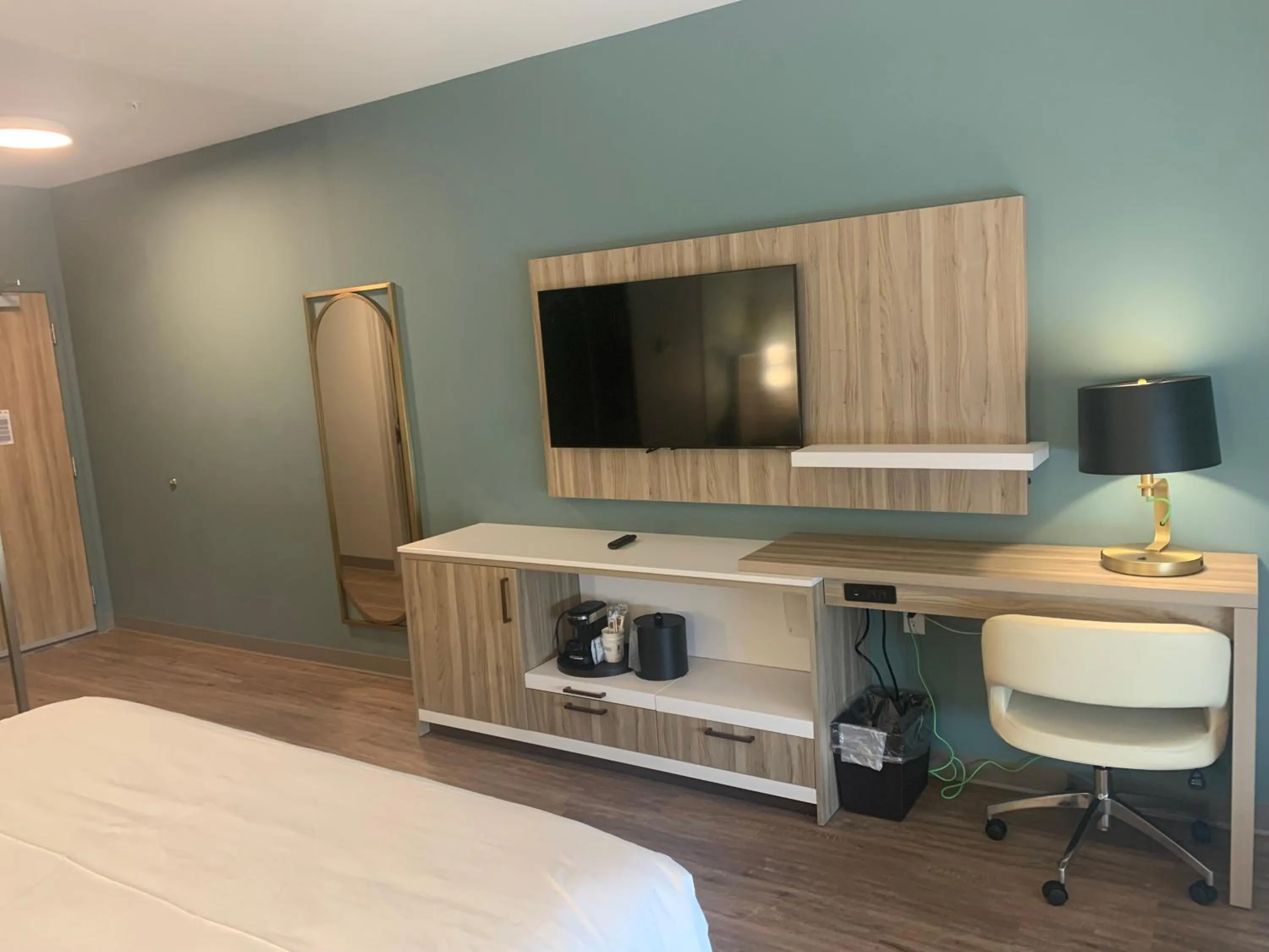 TV and multimedia in Wyndham Garden Tampa Fairgrounds/Casino