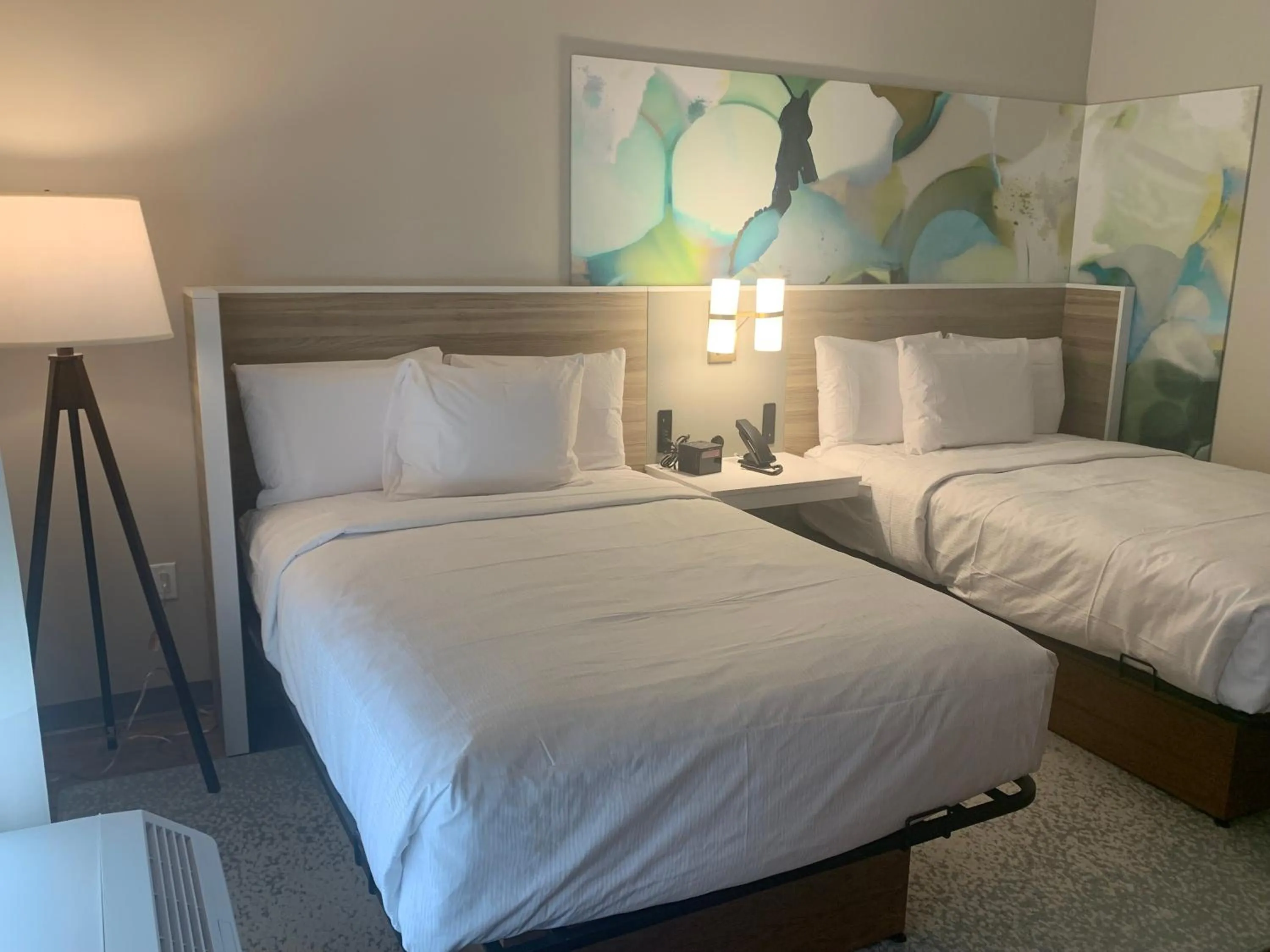 Photo of the whole room in Wyndham Garden Tampa Fairgrounds/Casino