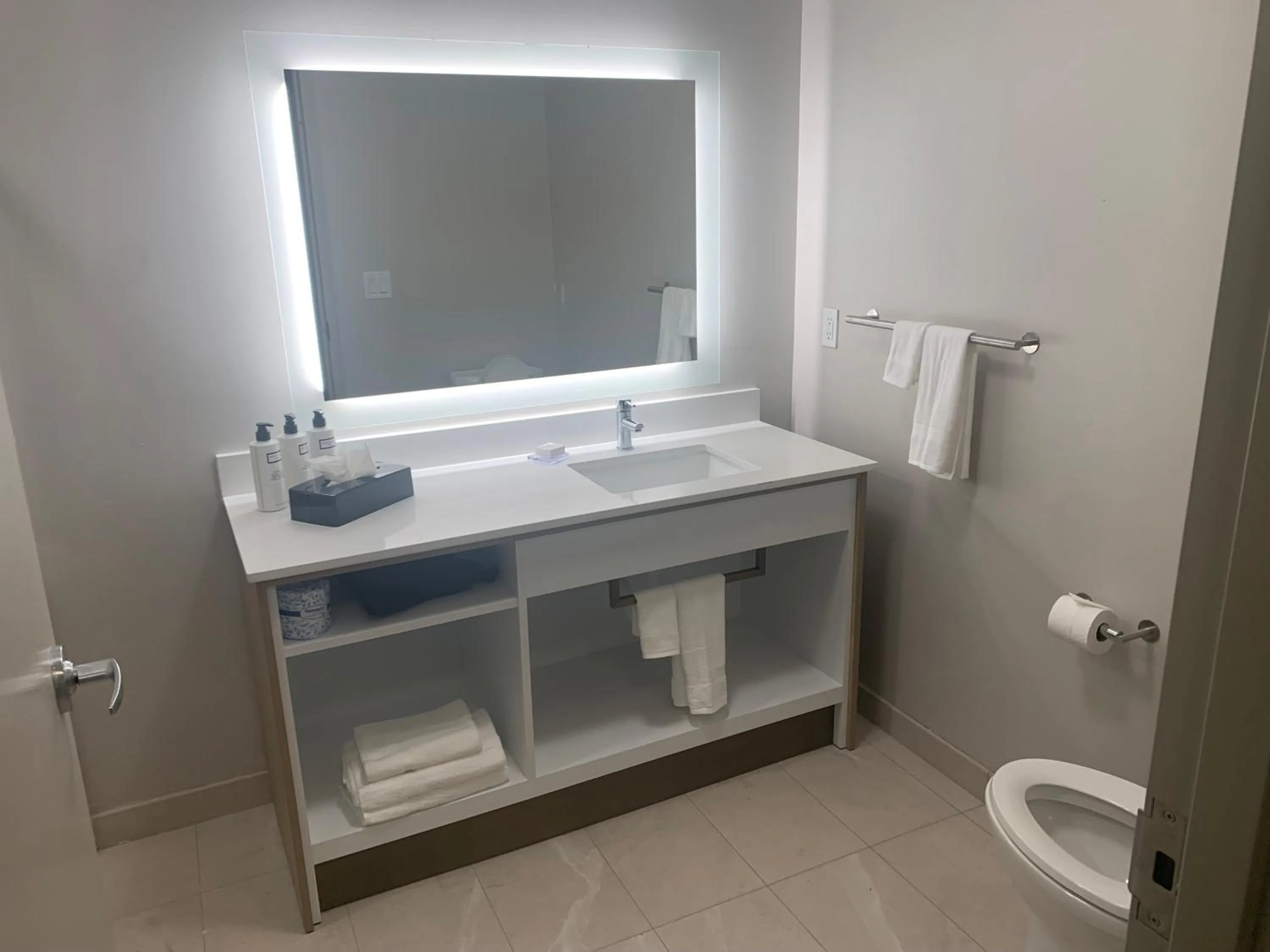 Bathroom in Wyndham Garden Tampa Fairgrounds/Casino