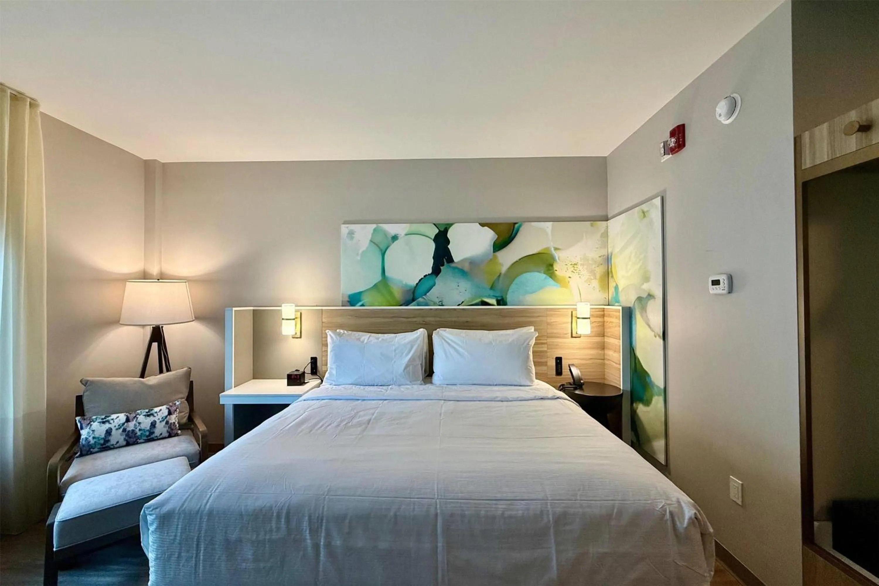 Photo of the whole room in Wyndham Garden Tampa Fairgrounds/Casino