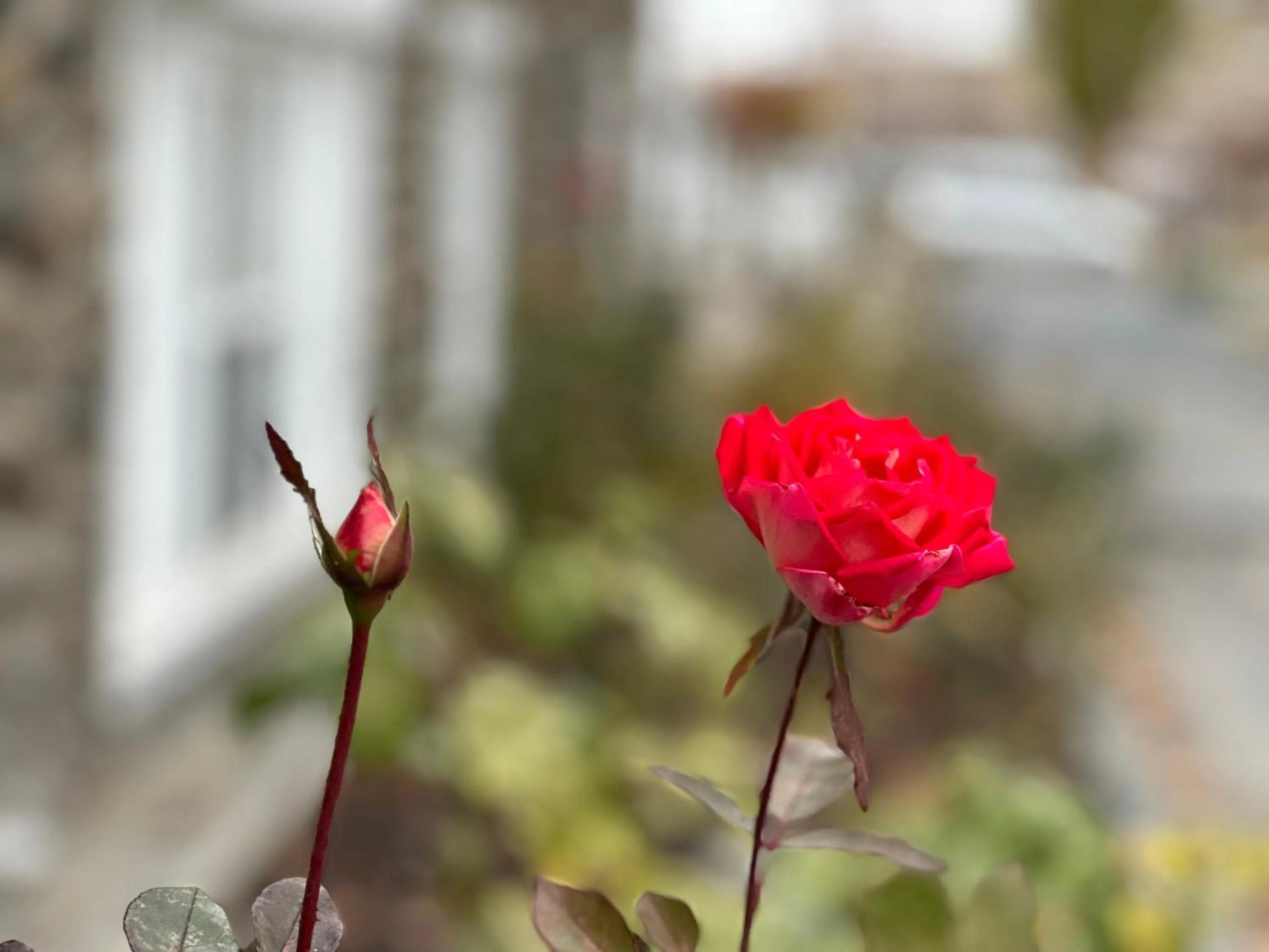Garden in Soap Lake Natural Spa & Resort