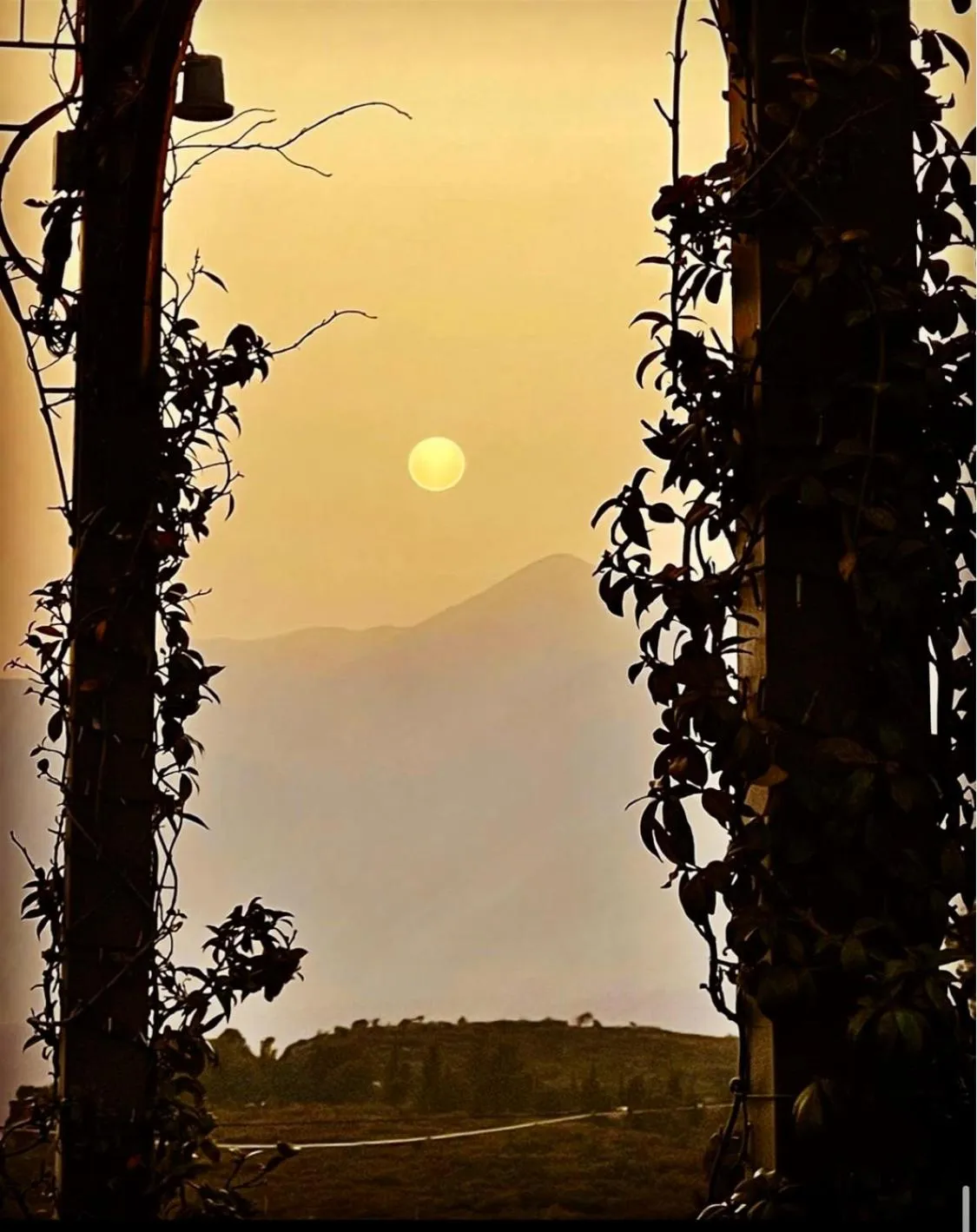 Location in Nidimos Hotel