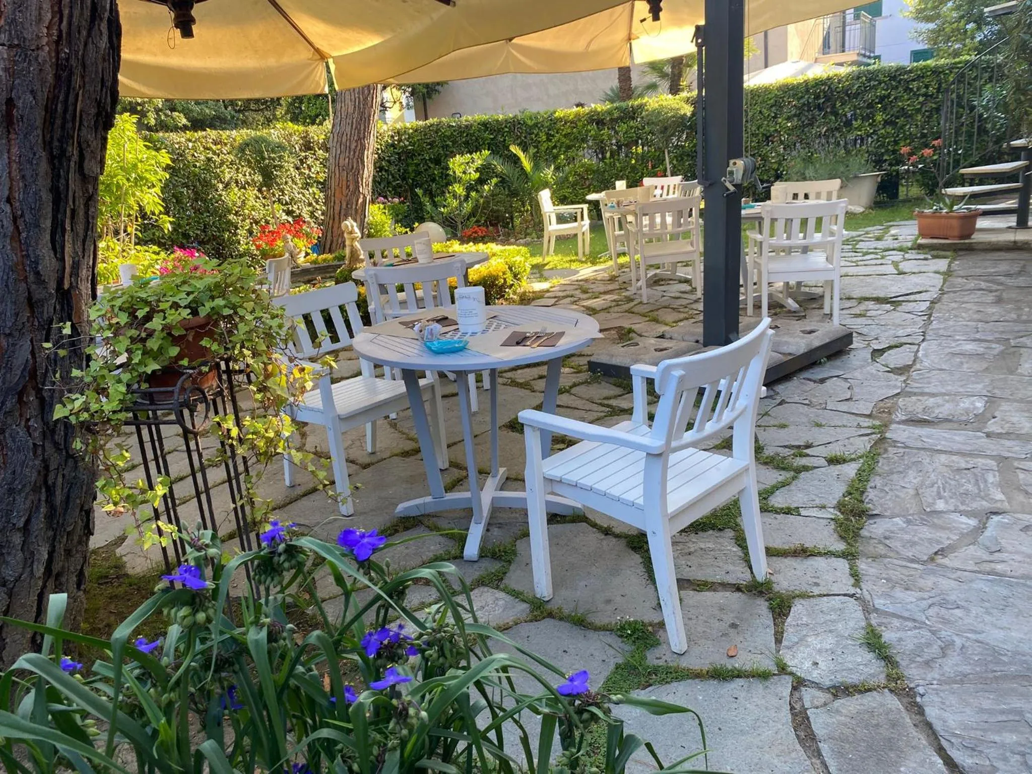 Garden in Hotel Le Focette