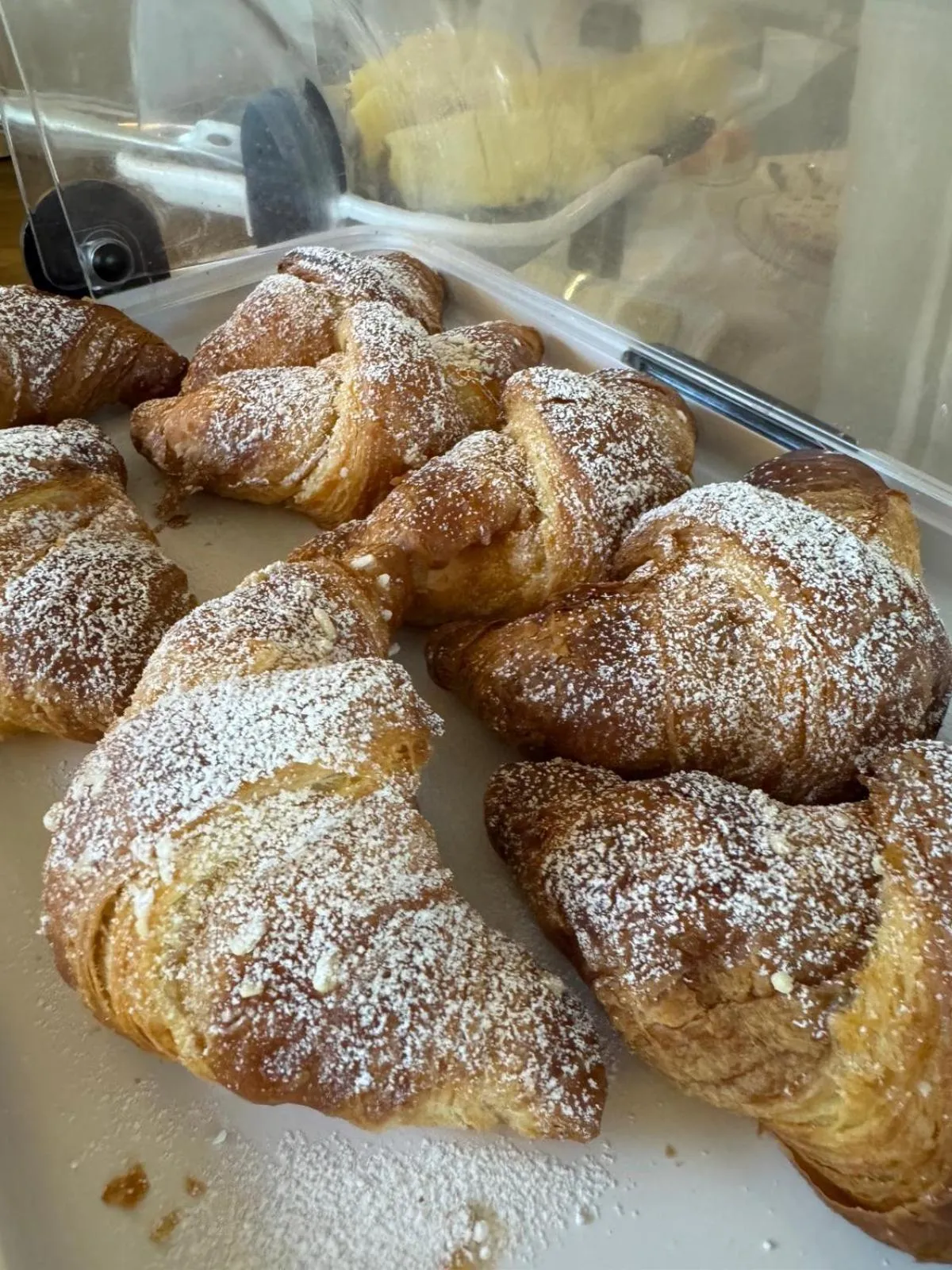 Restaurant/places to eat in Hotel Le Focette