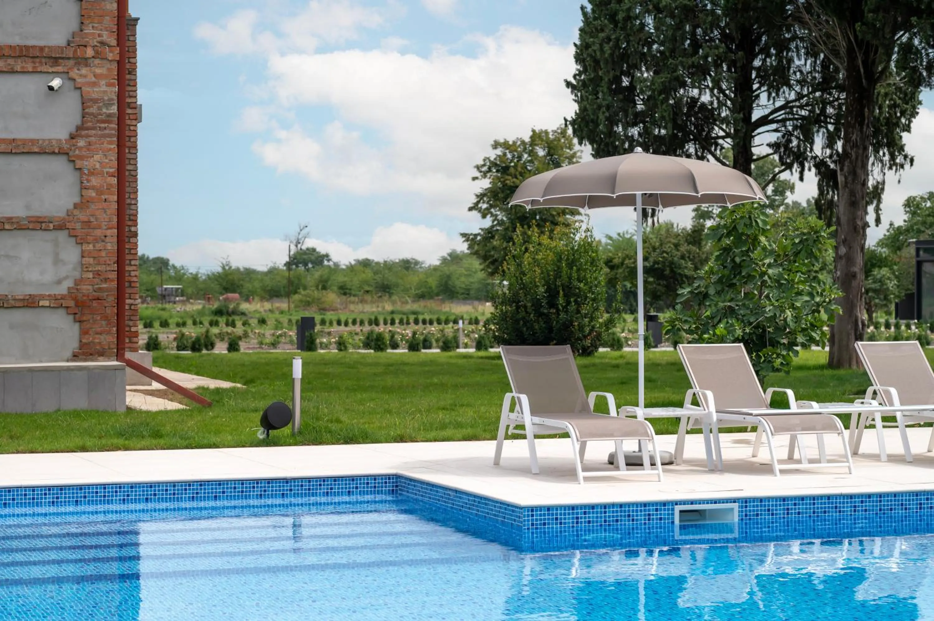 Swimming pool in Samzeo Kvareli