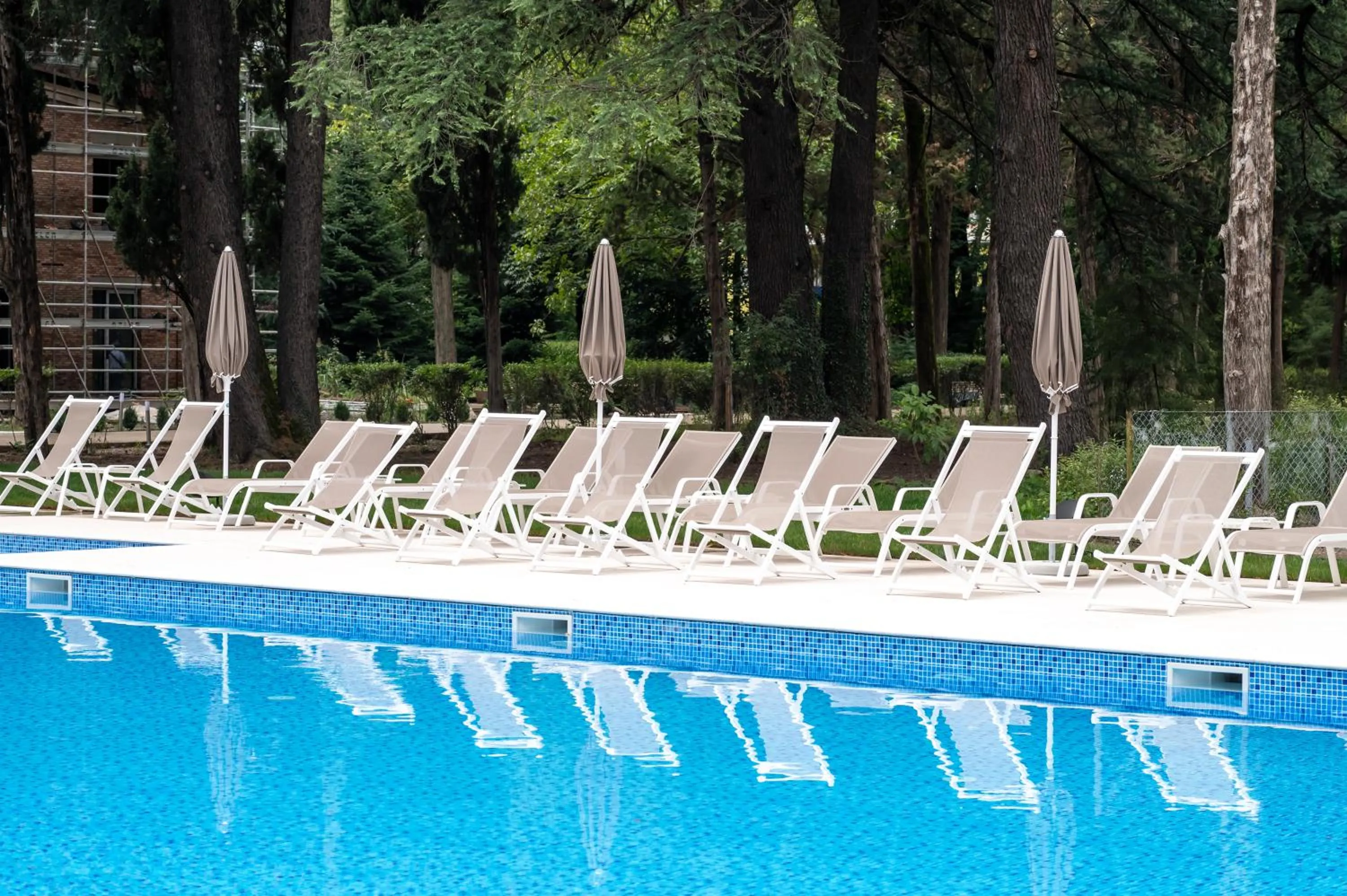 Swimming pool in Samzeo Kvareli