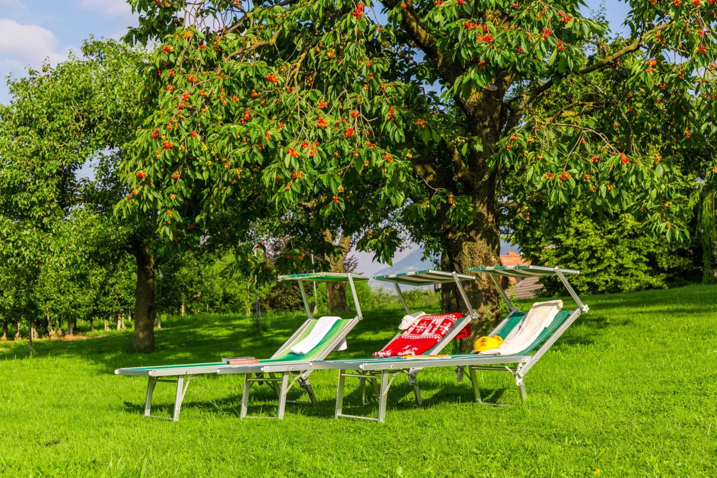 Garden in Garni - Hotel Rinner Julia