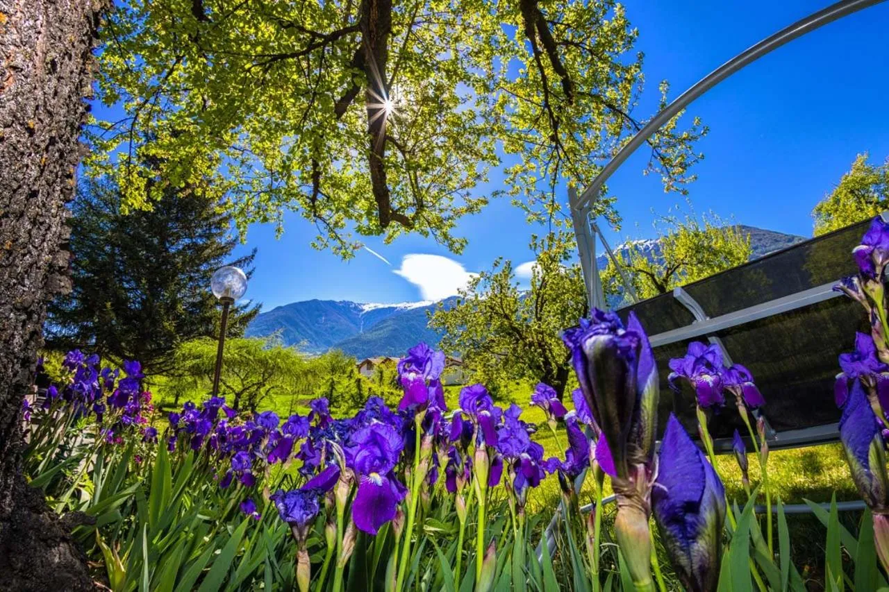 Garni - Hotel Rinner Julia