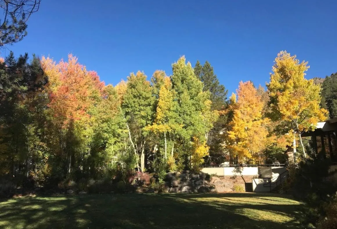View (from property/room) in GetAways at Olympic Village Inn