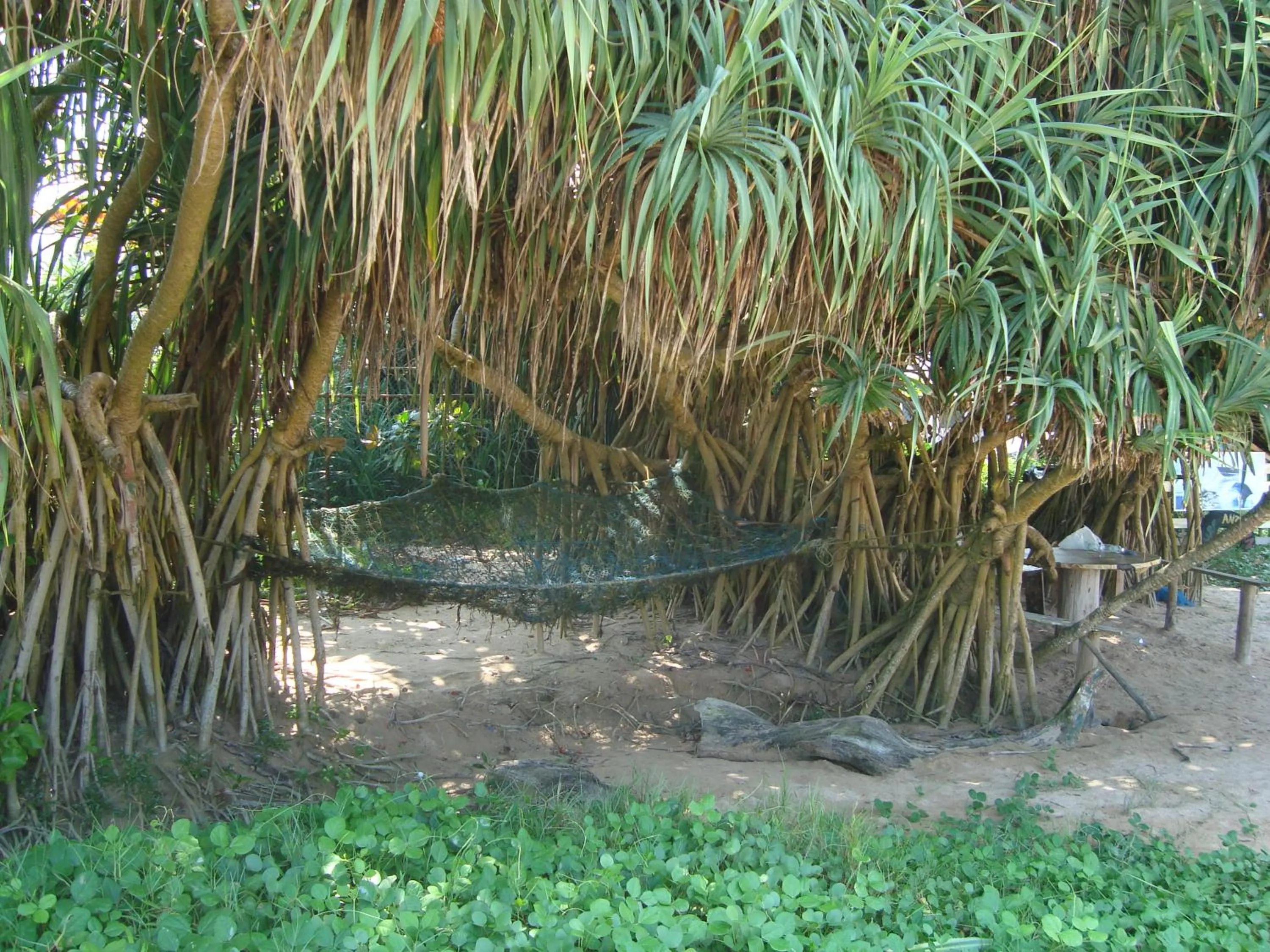 Natural landscape in New White Villa