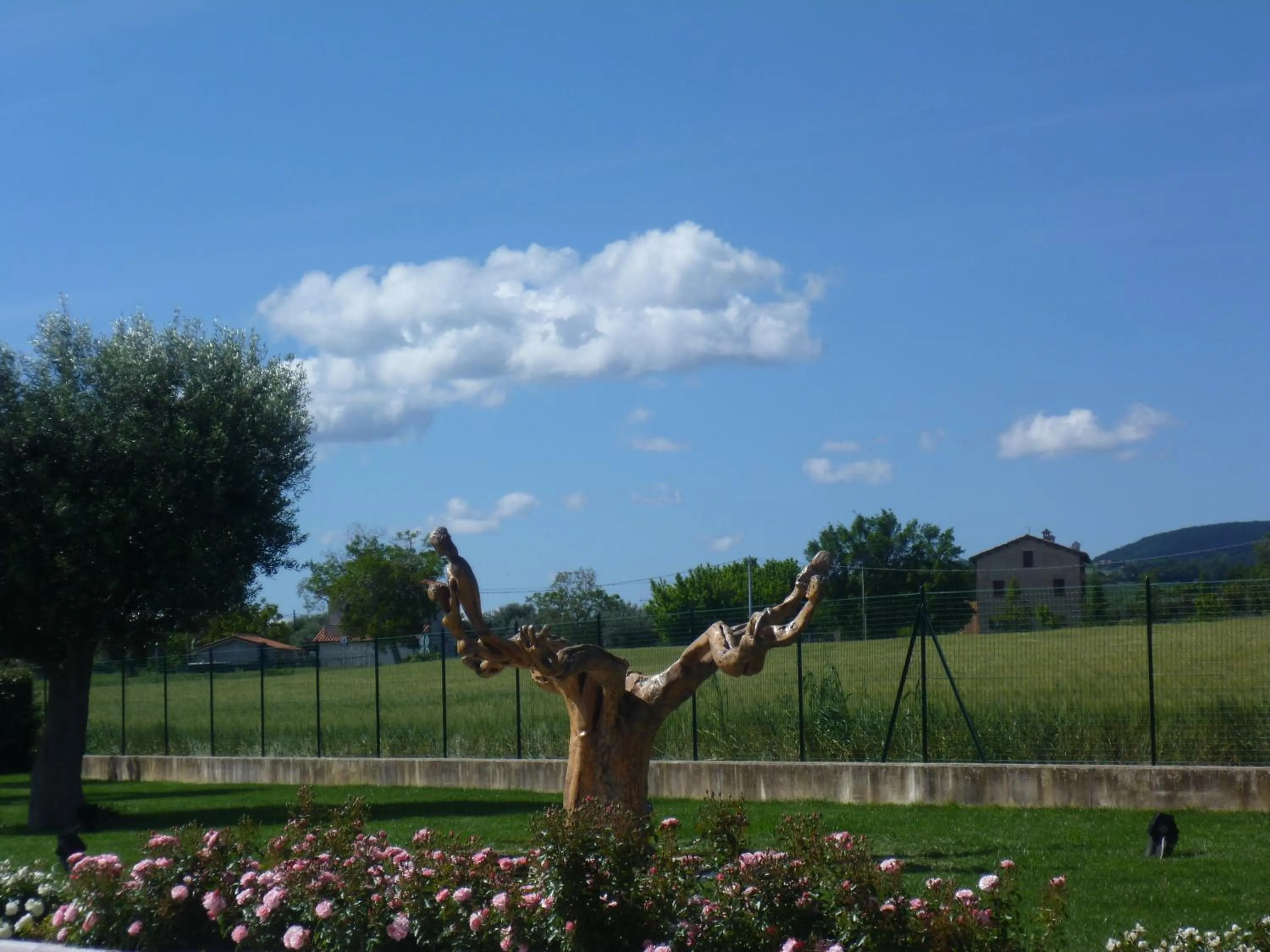 Garden view in Postiglione Country House