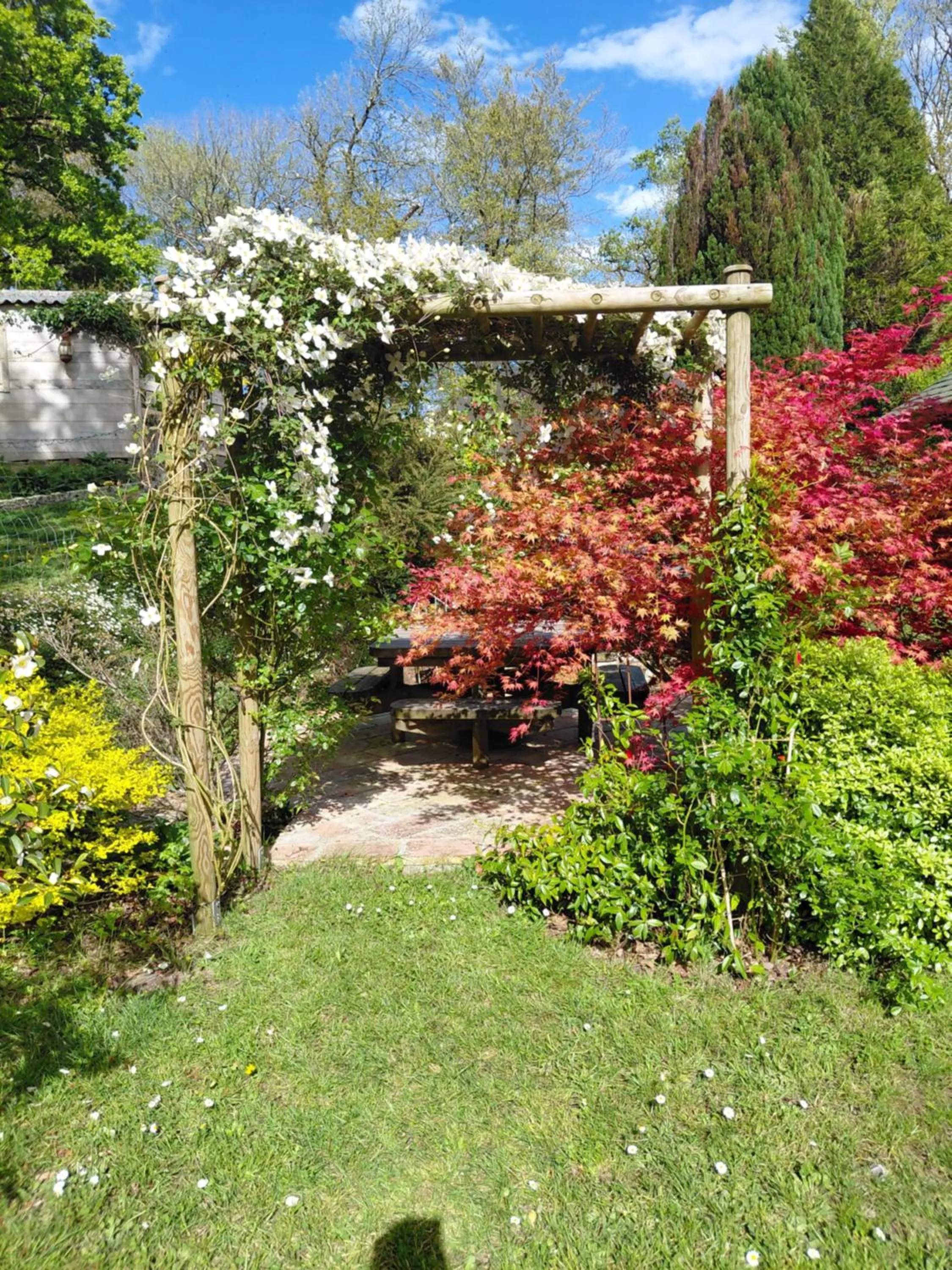 Garden in Maison dans un environnement boisé très calme
