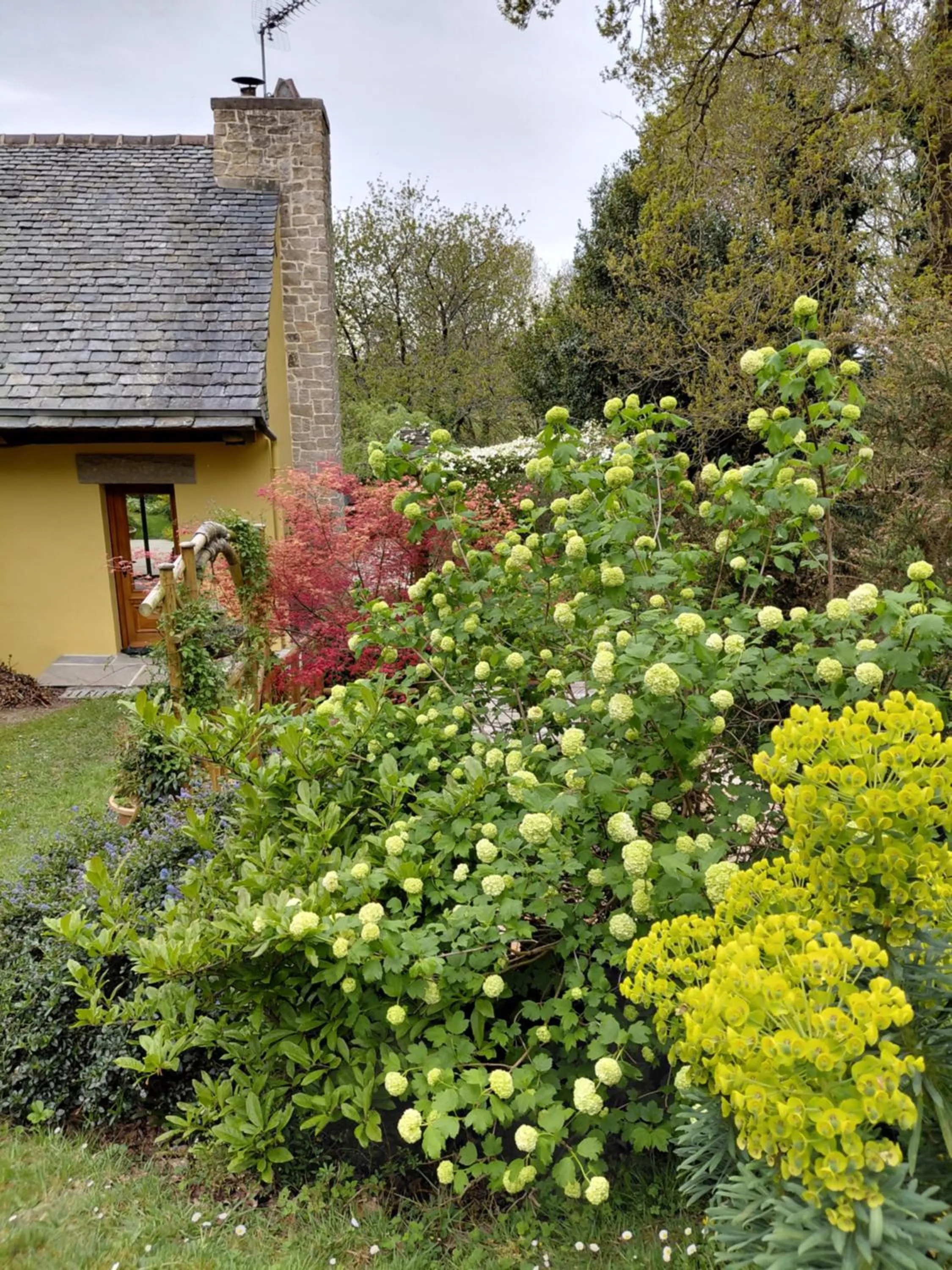 Garden in Maison dans un environnement boisé très calme