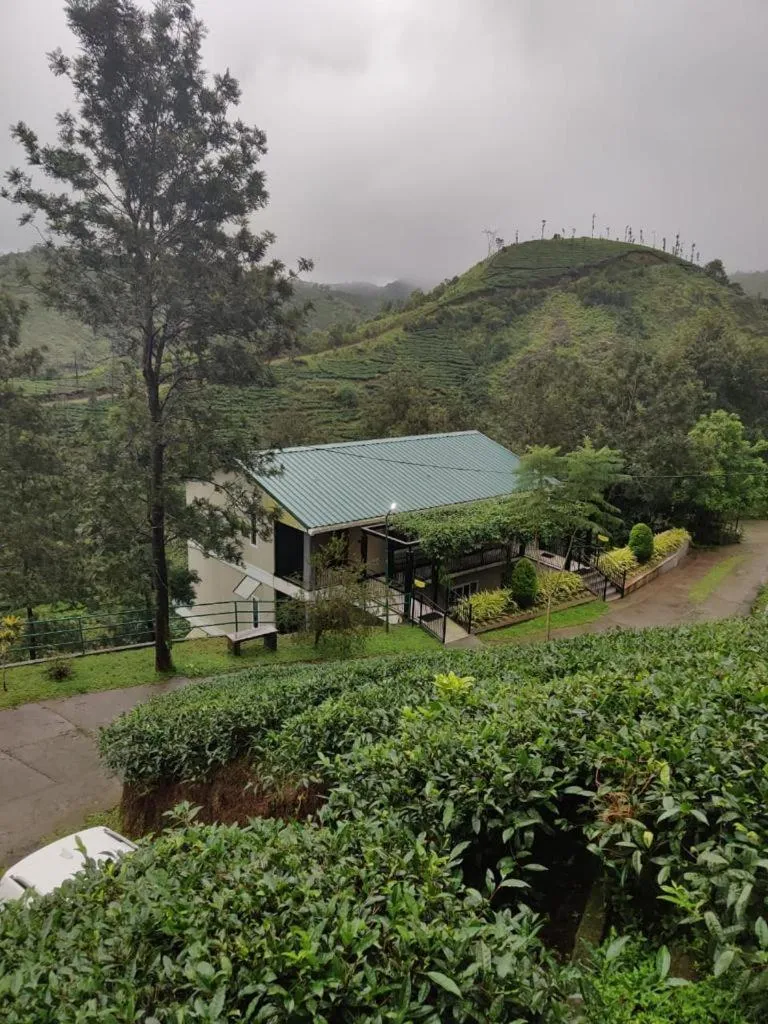 View (from property/room) in Falcon Crest