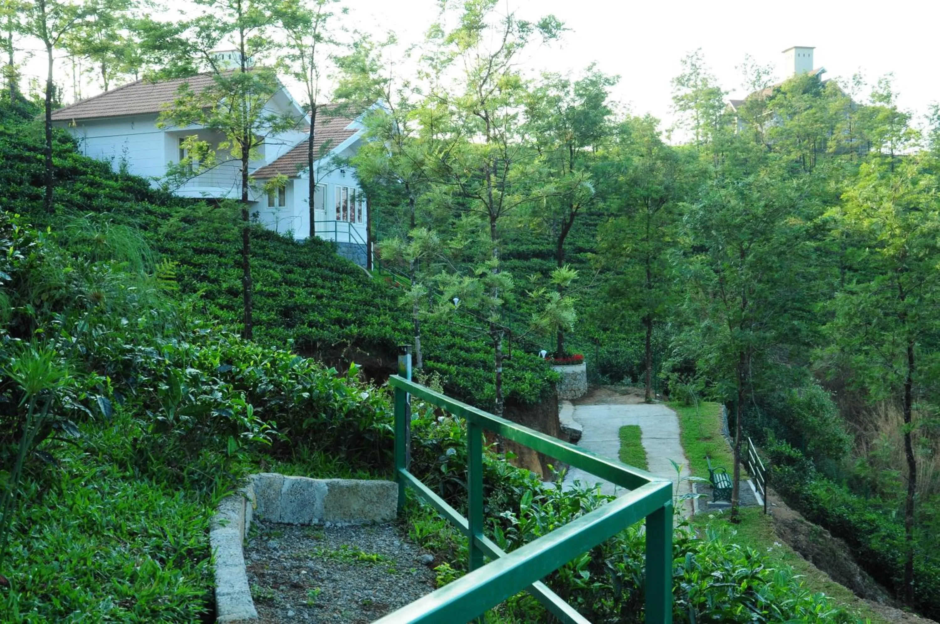 On site in Falcon Crest