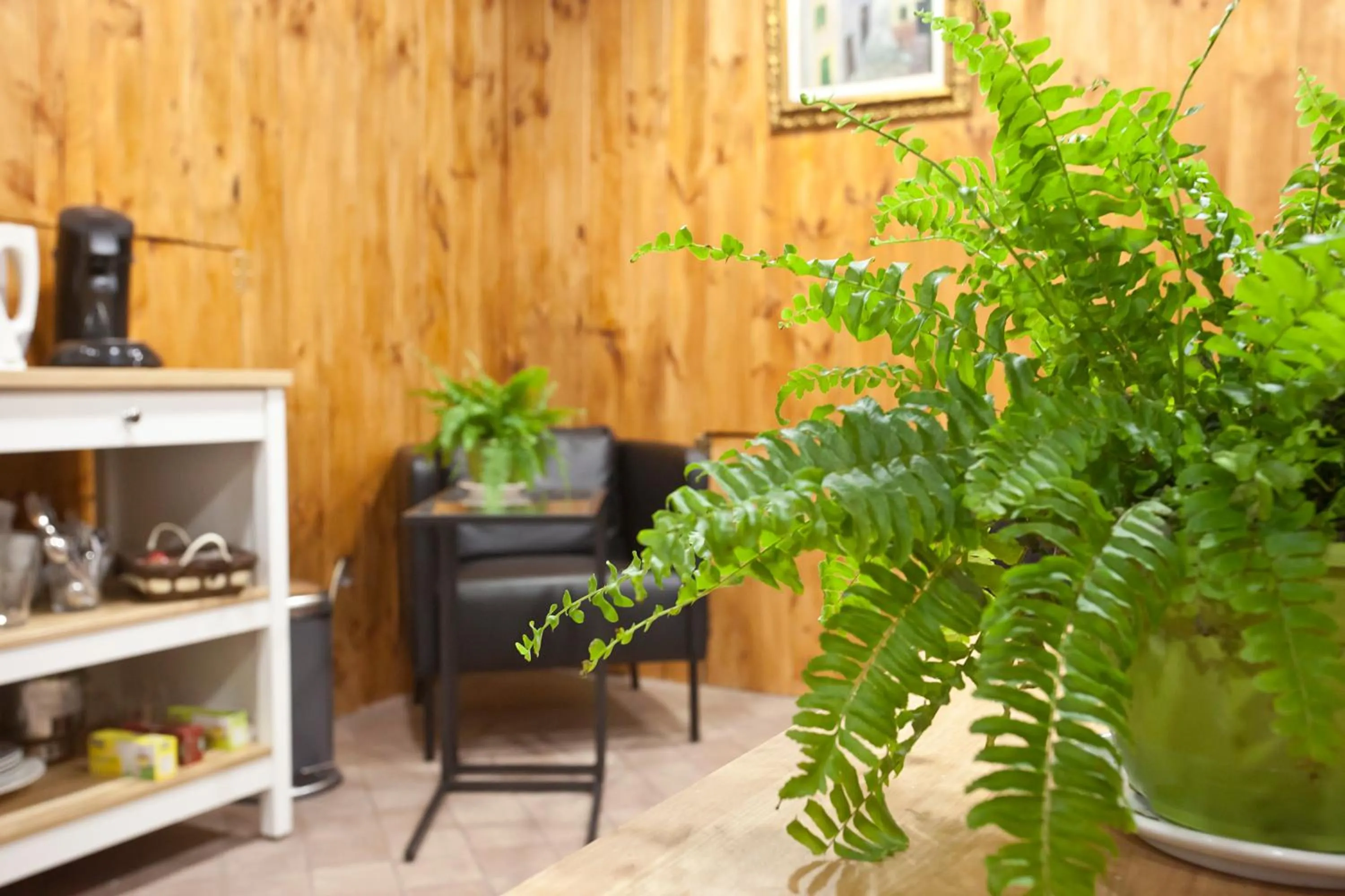 Lobby or reception in Turismo de Interior Ca Sa Padrina