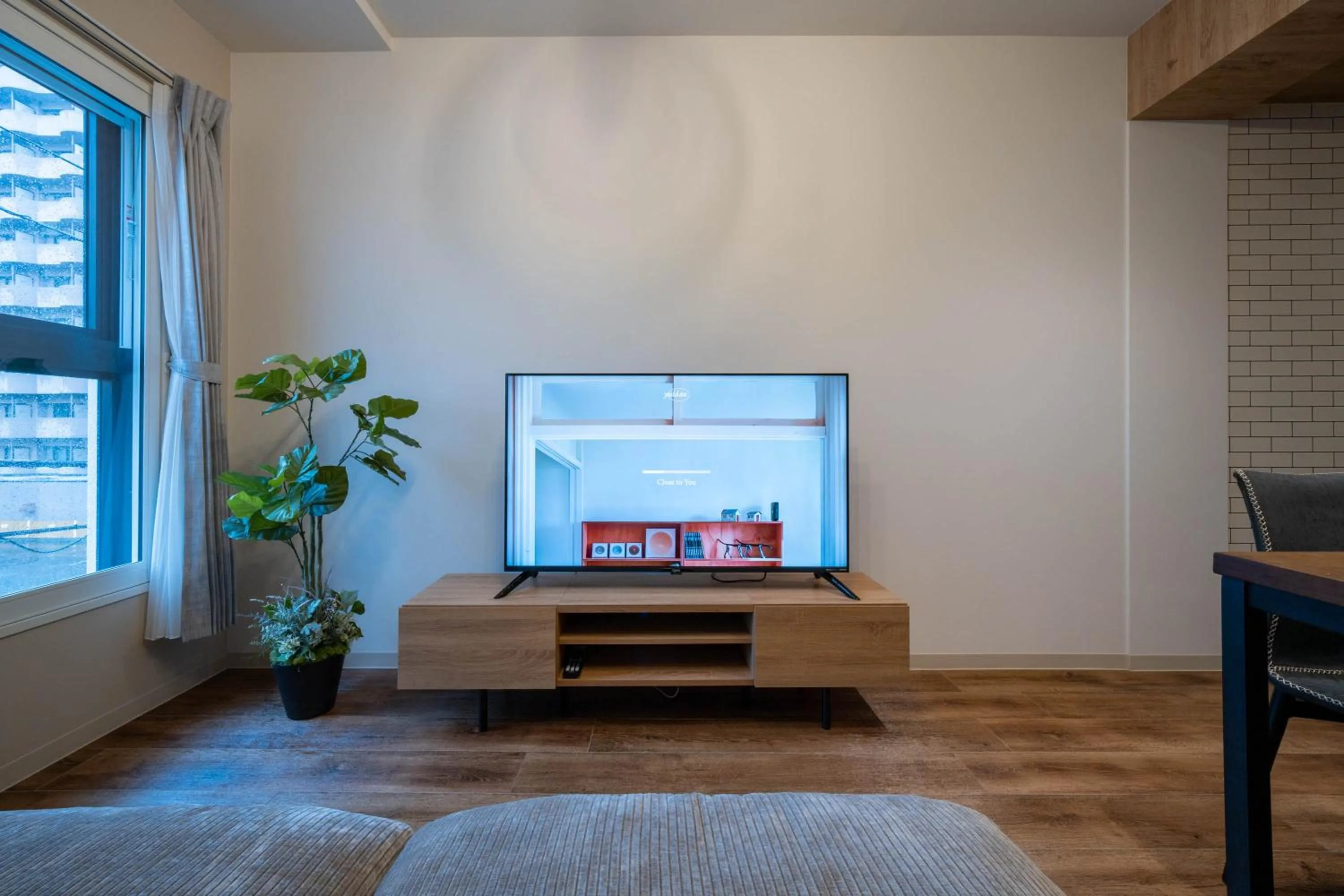 TV and multimedia in Zabo Hills 305