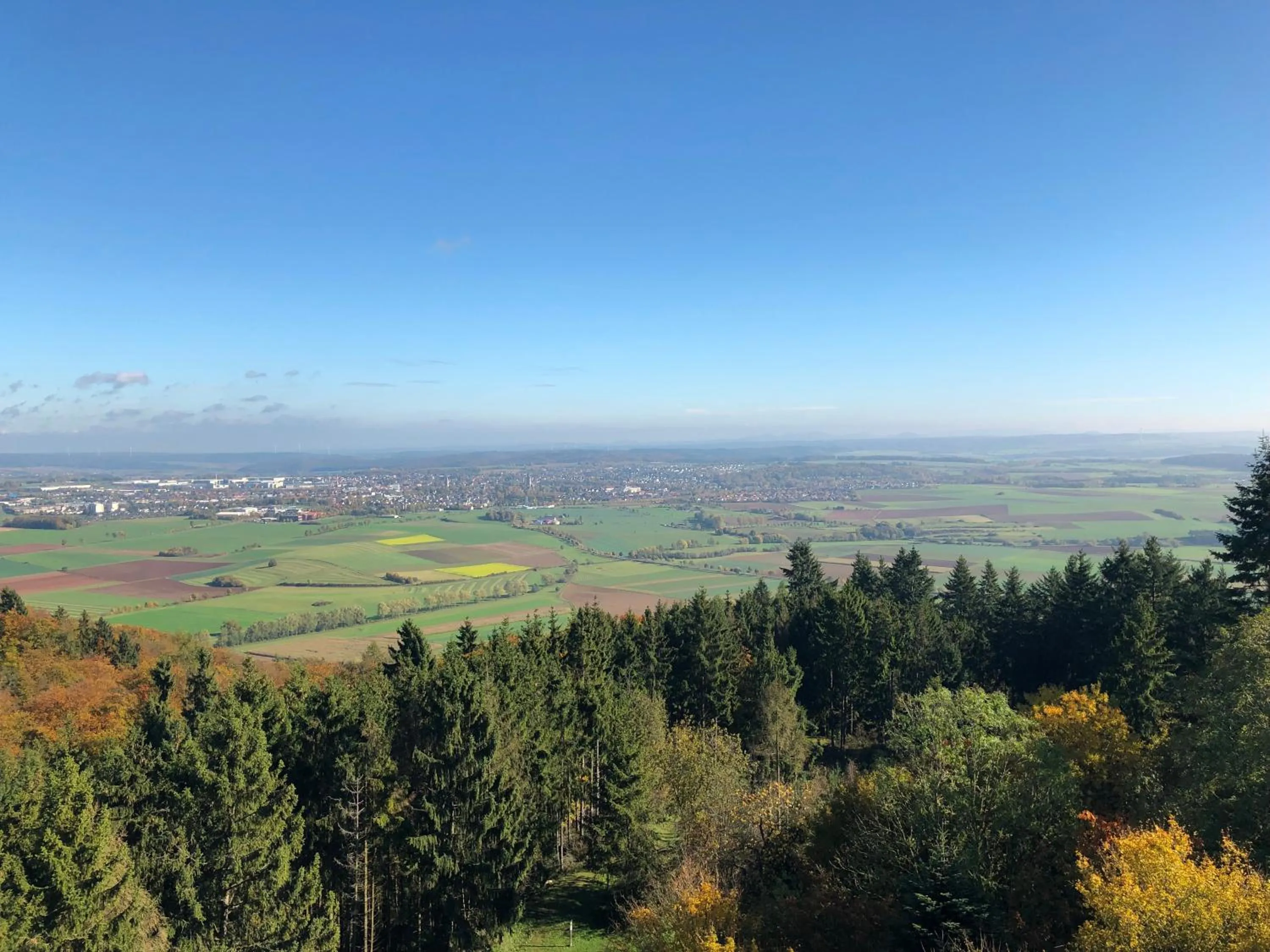 Area and facilities in Hotel Touric
