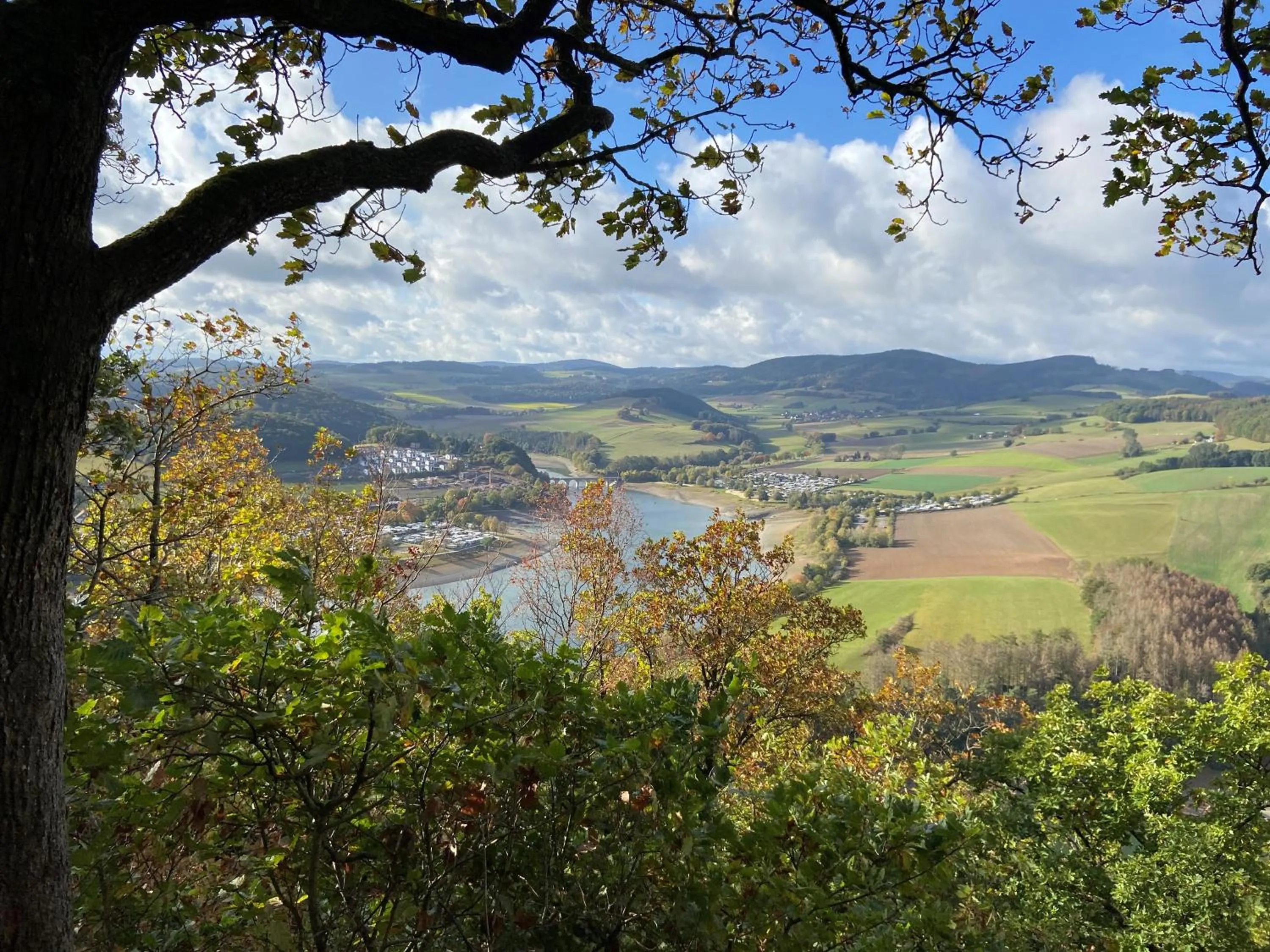 Area and facilities in Hotel Touric