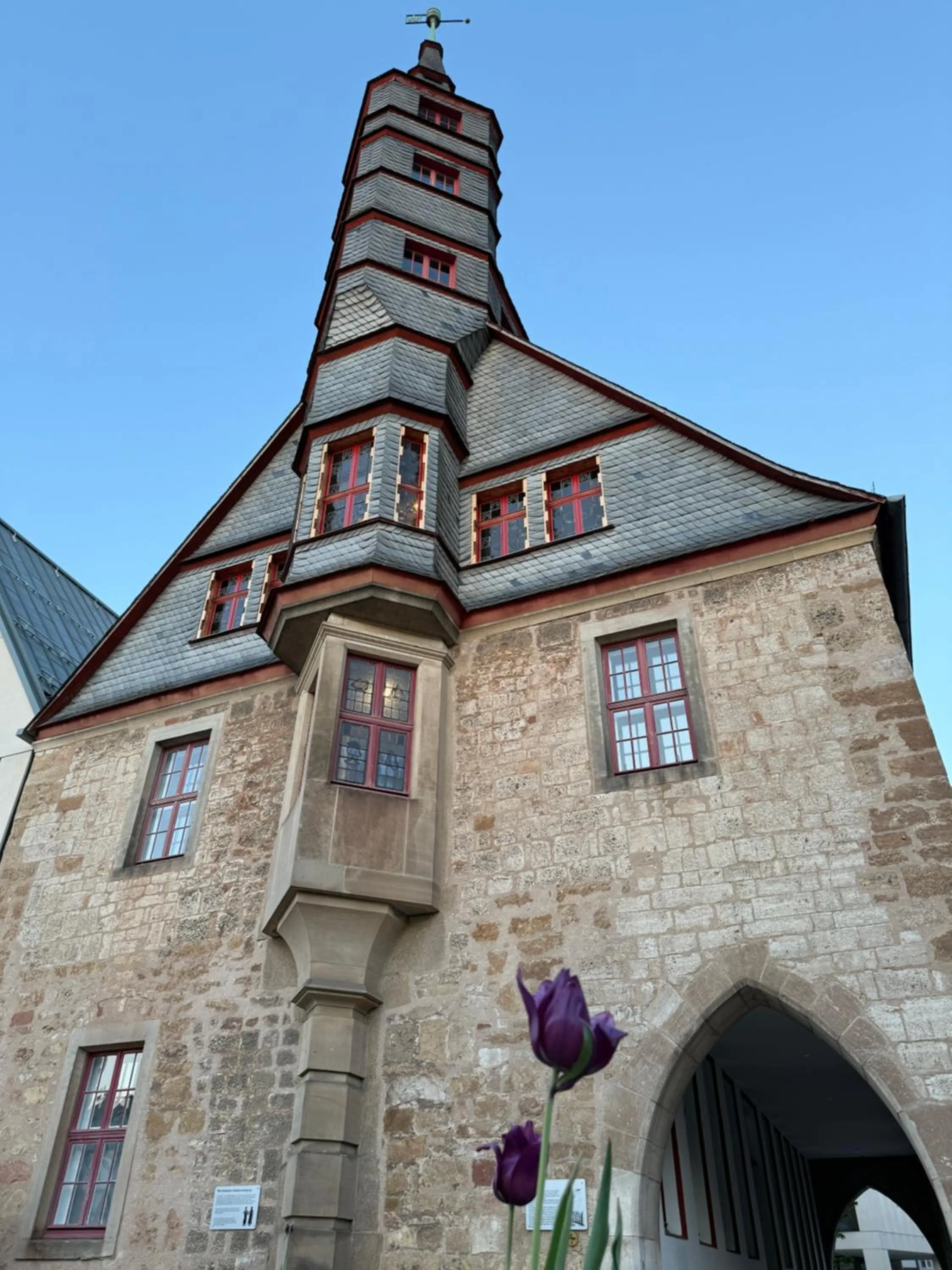 Area and facilities in Hotel Touric