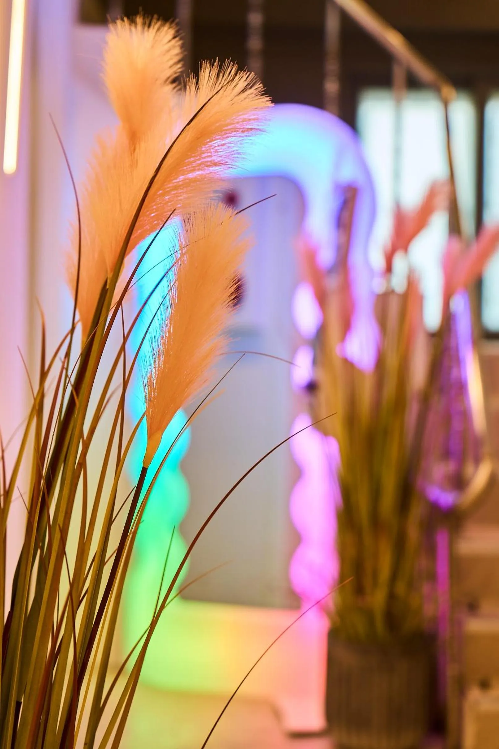 Lobby or reception in Stay Seorae