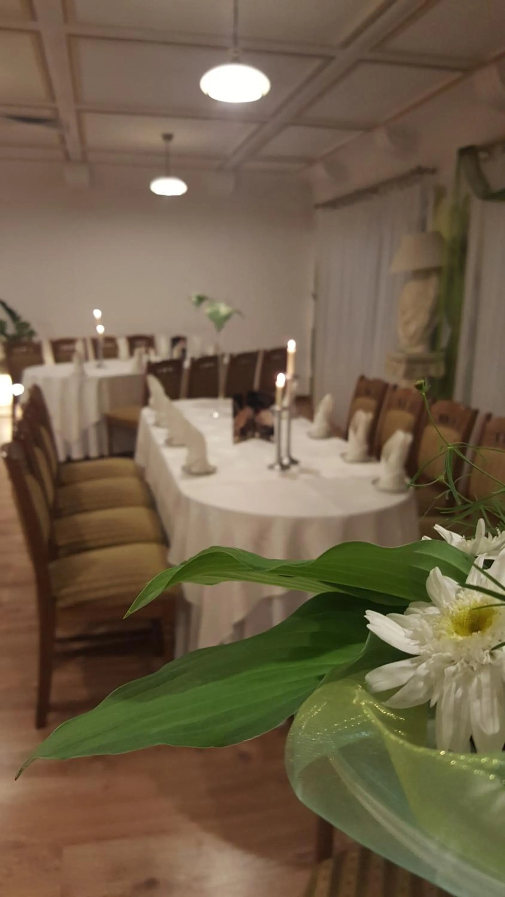 Restaurant/places to eat in Hotel Bristol