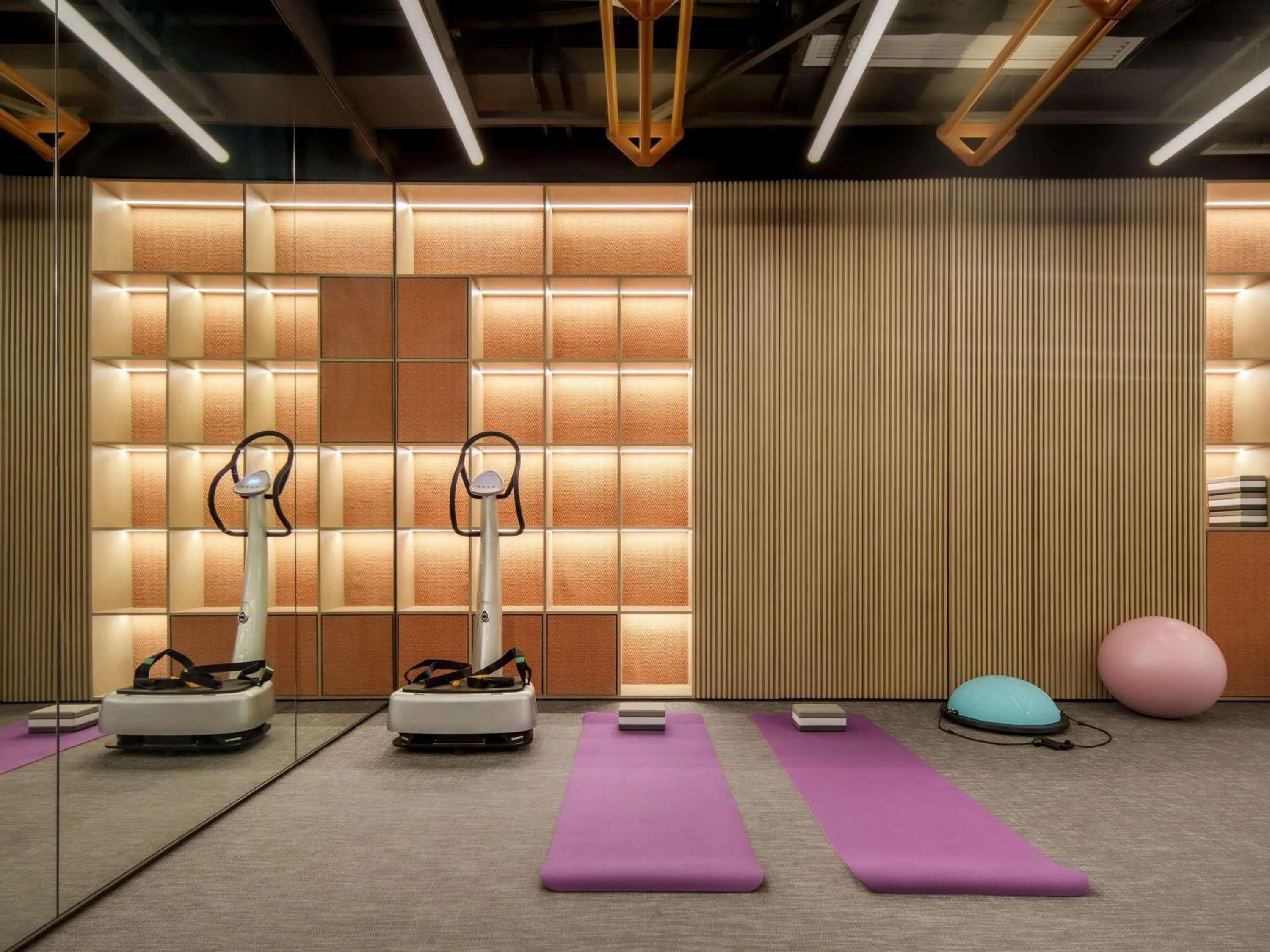 Fitness centre/facilities in Ming Hotel Nanjing - MGallery Collection
