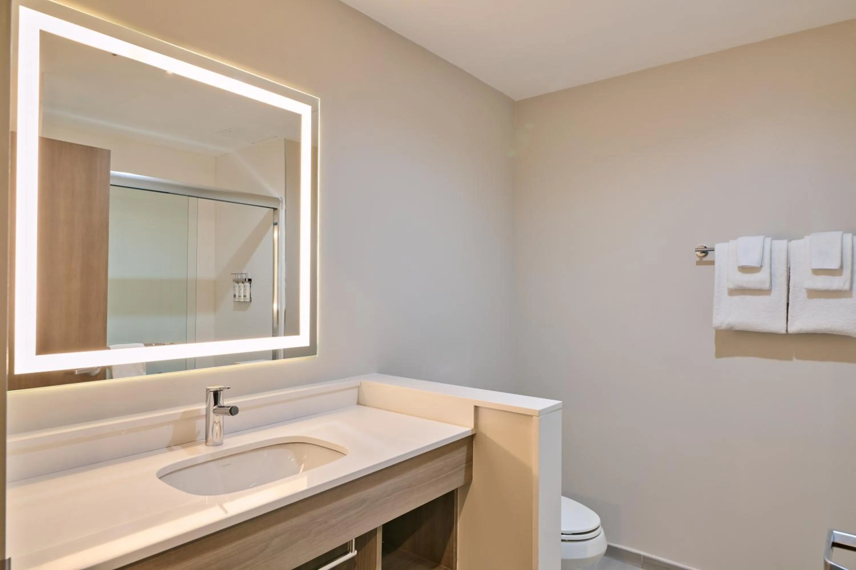 Bathroom in Holiday Inn Express & Suites Diamond by IHG