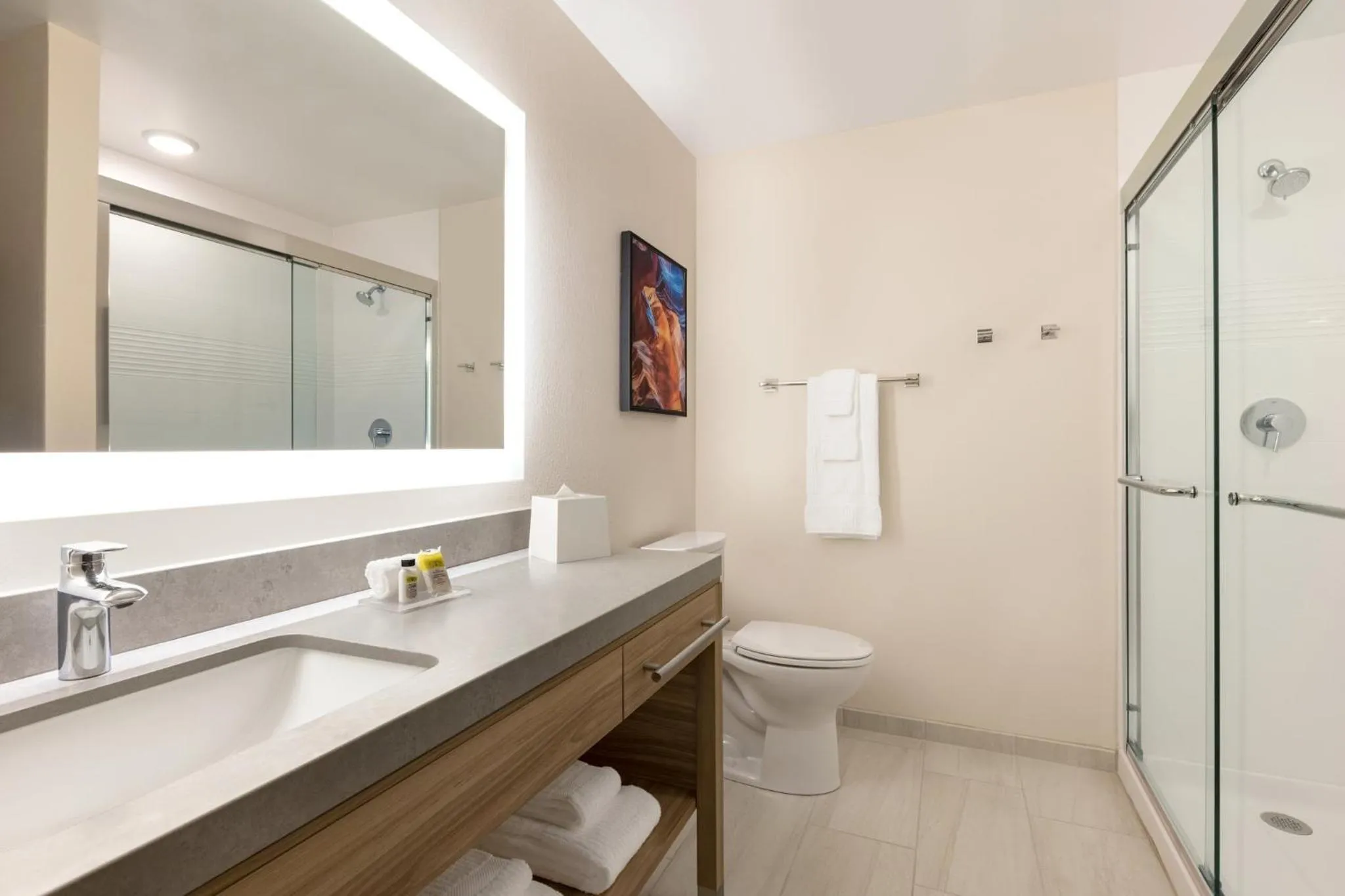 Bathroom in Candlewood Suites Mesa - Phoenix East by IHG