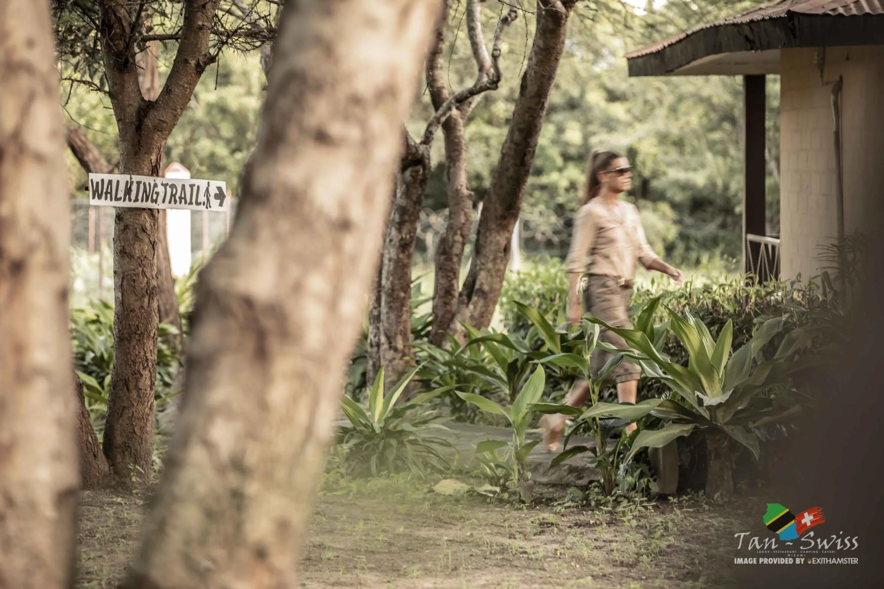 Garden in Tan-Swiss Lodge
