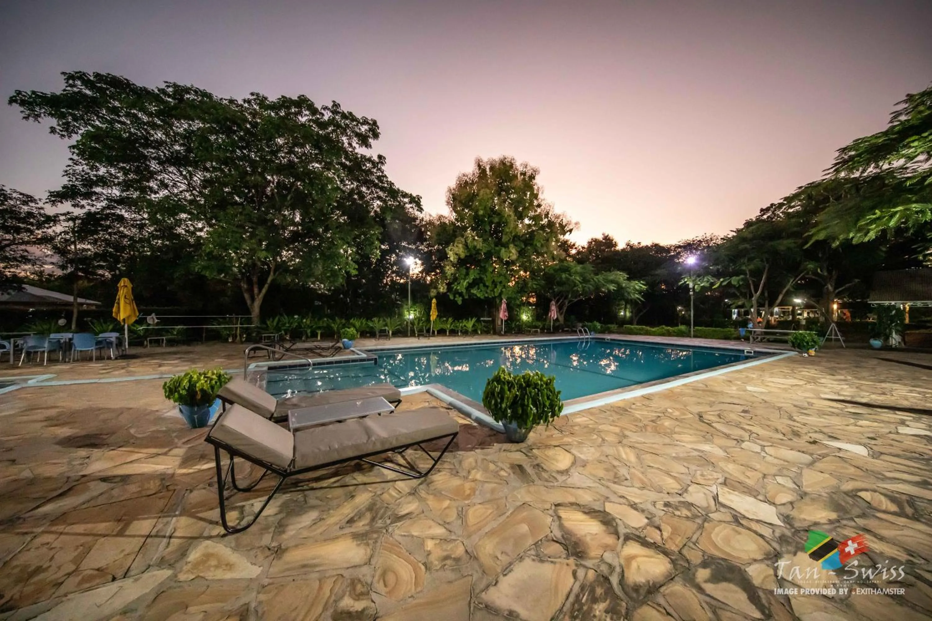 Swimming pool in Tan-Swiss Lodge