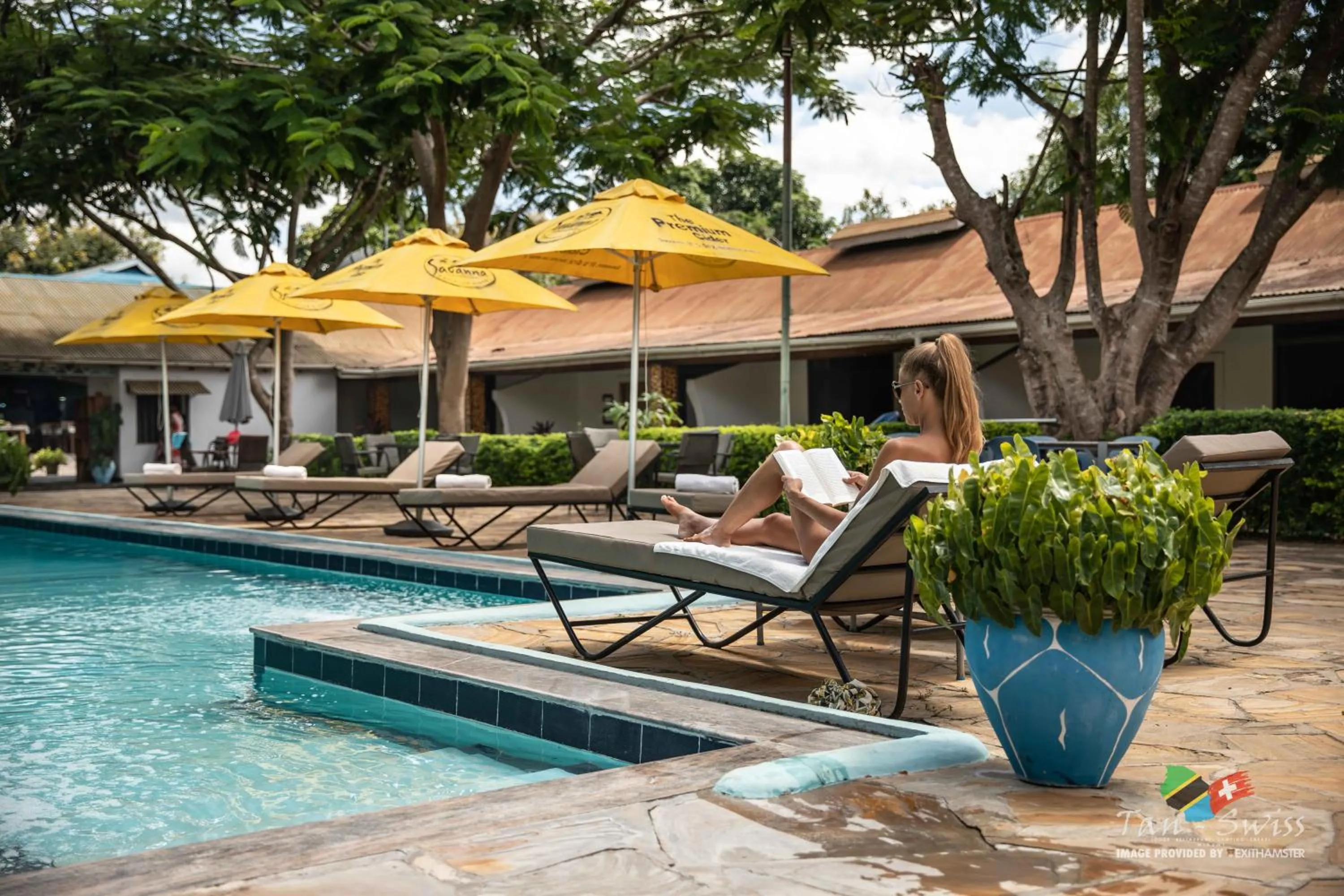 Swimming pool in Tan-Swiss Lodge