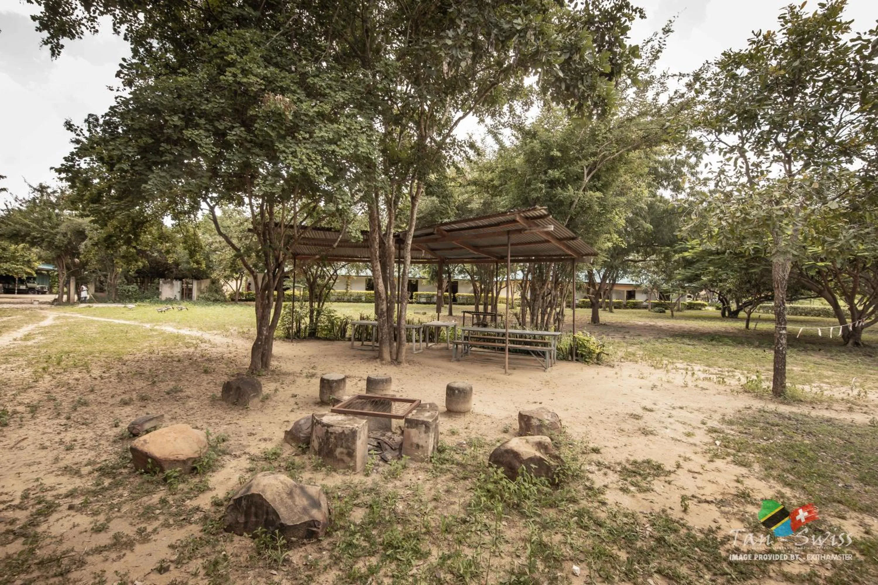 flat iron in Tan-Swiss Lodge