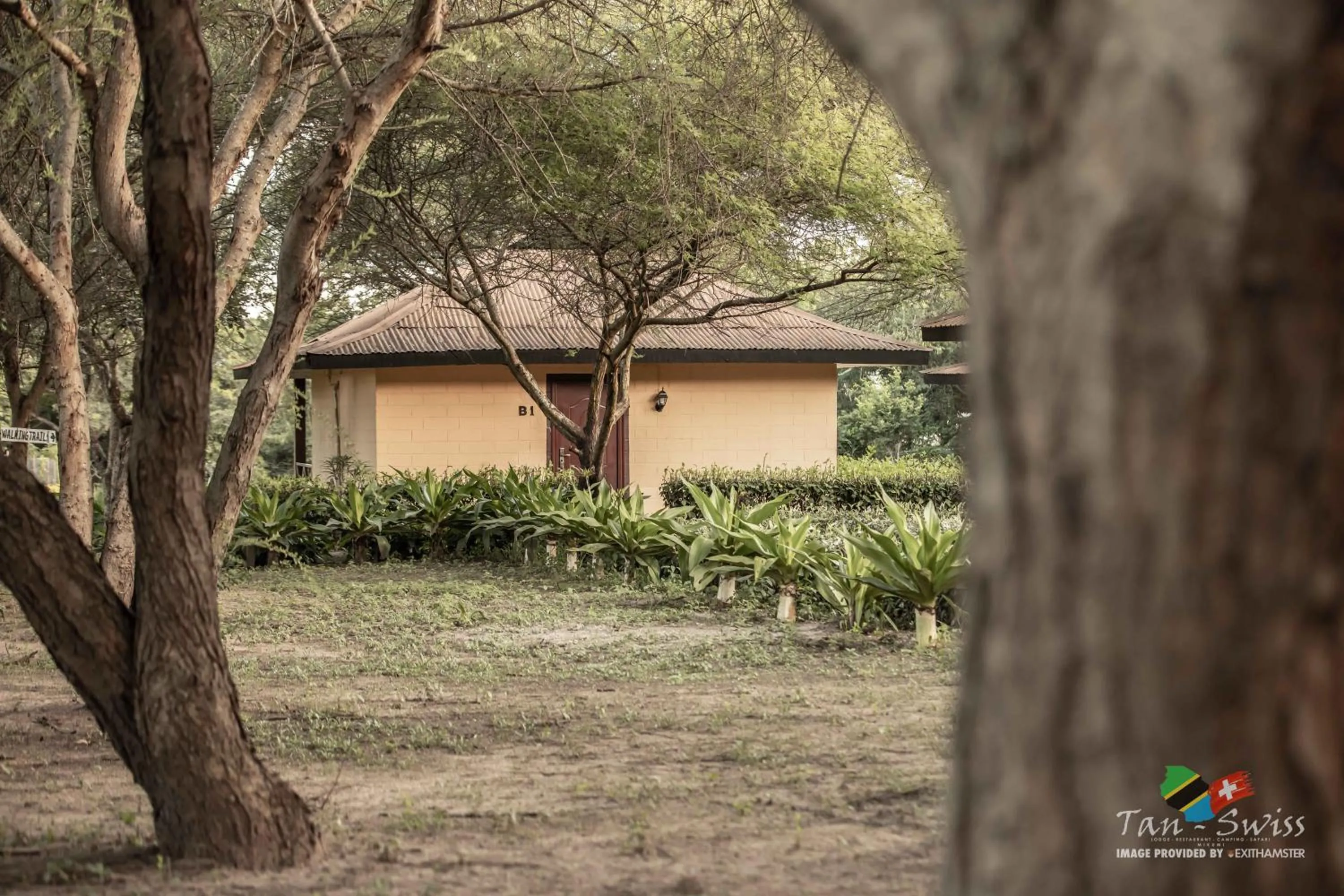 Property building in Tan-Swiss Lodge