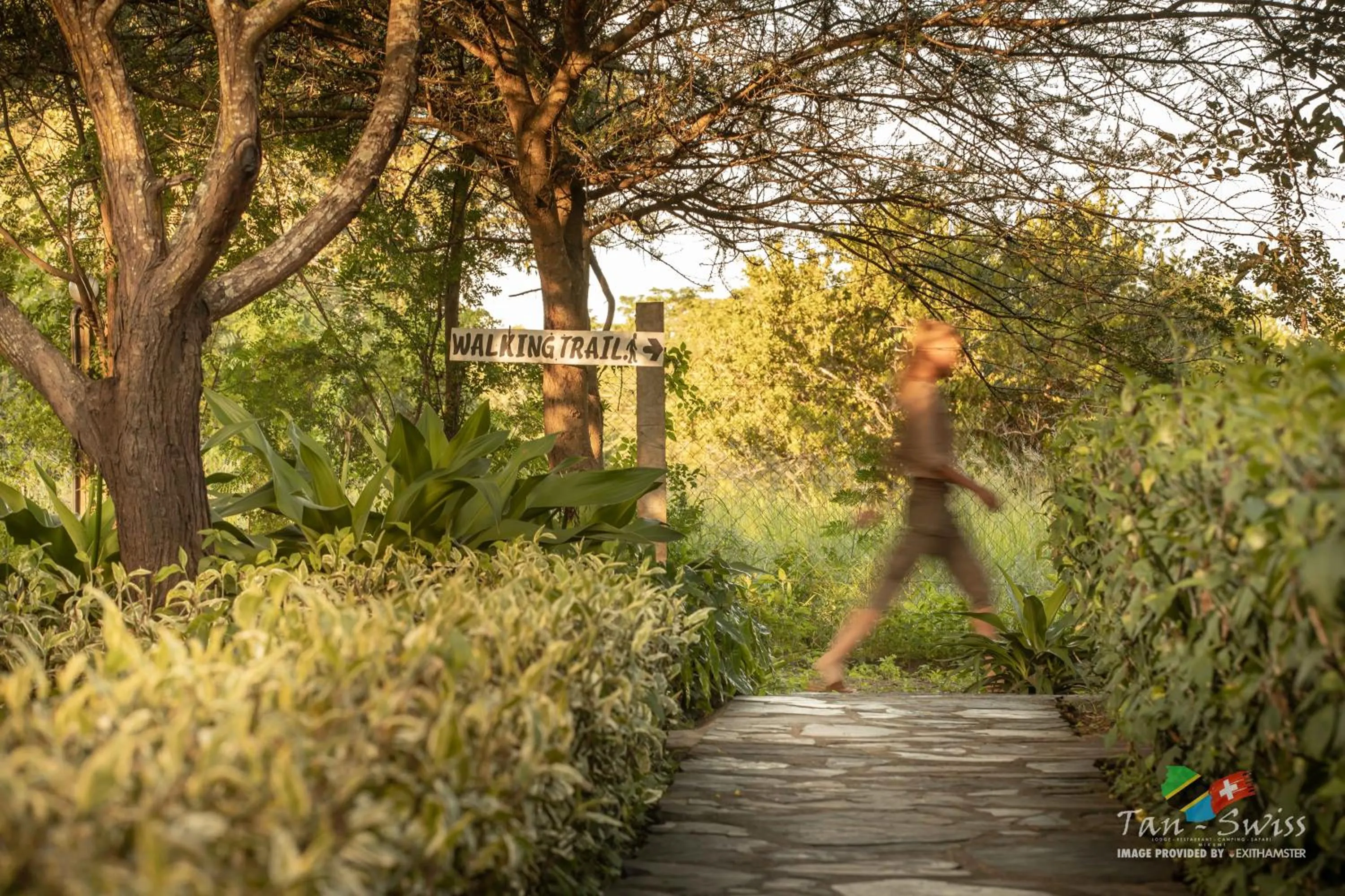 Garden in Tan-Swiss Lodge