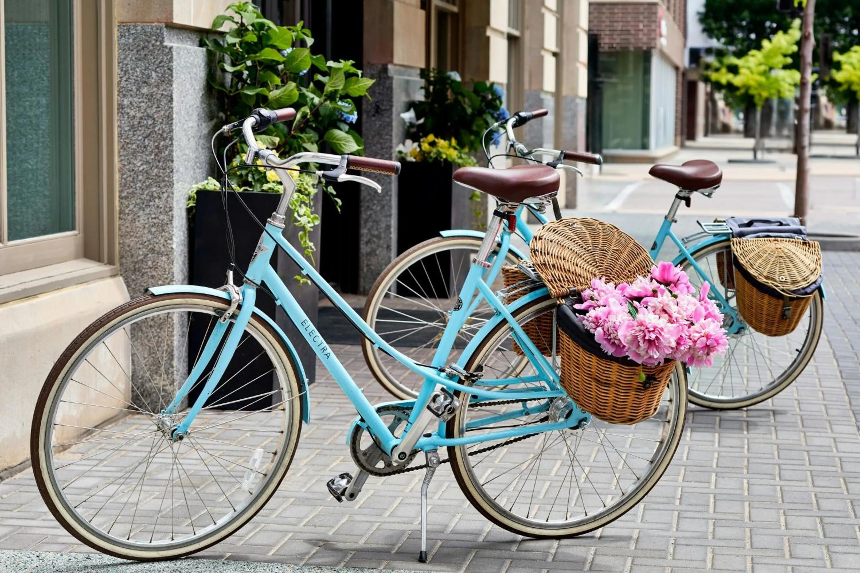 Other in The Olive Ann Hotel, Grand Forks, a Tribute Portfolio Hotel