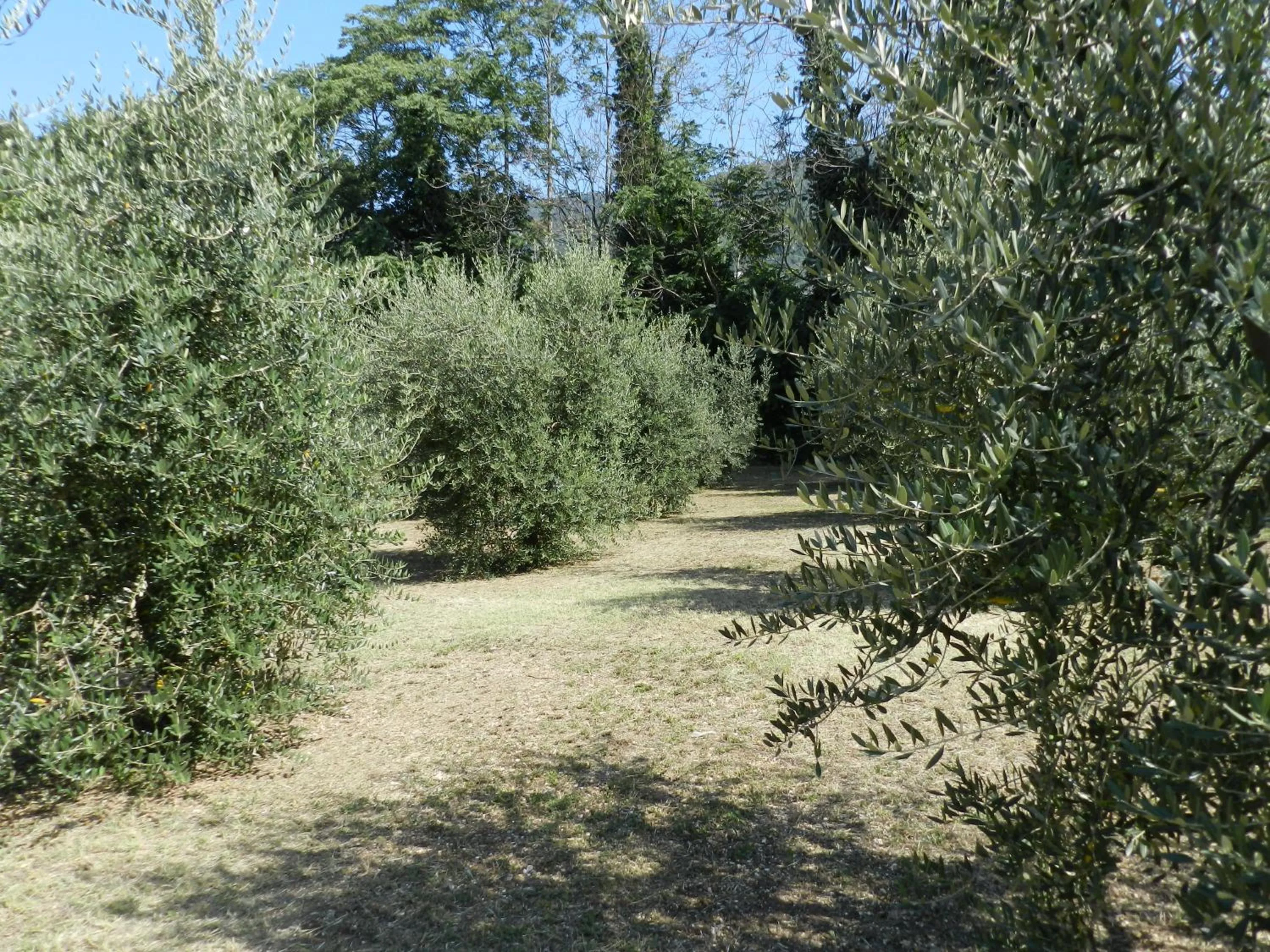 Area and facilities in B&B Villa Maria