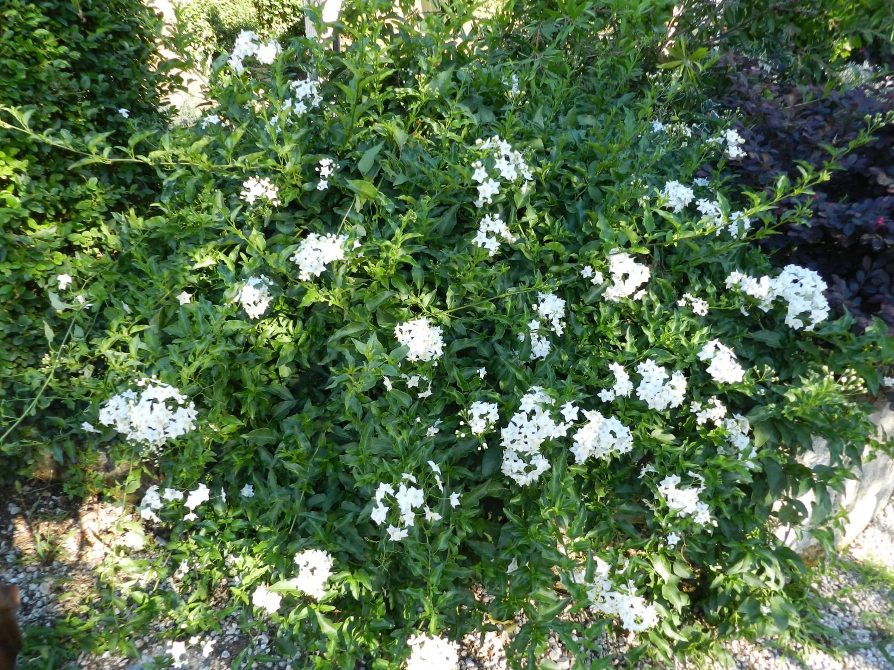 Other in B&B Villa Maria