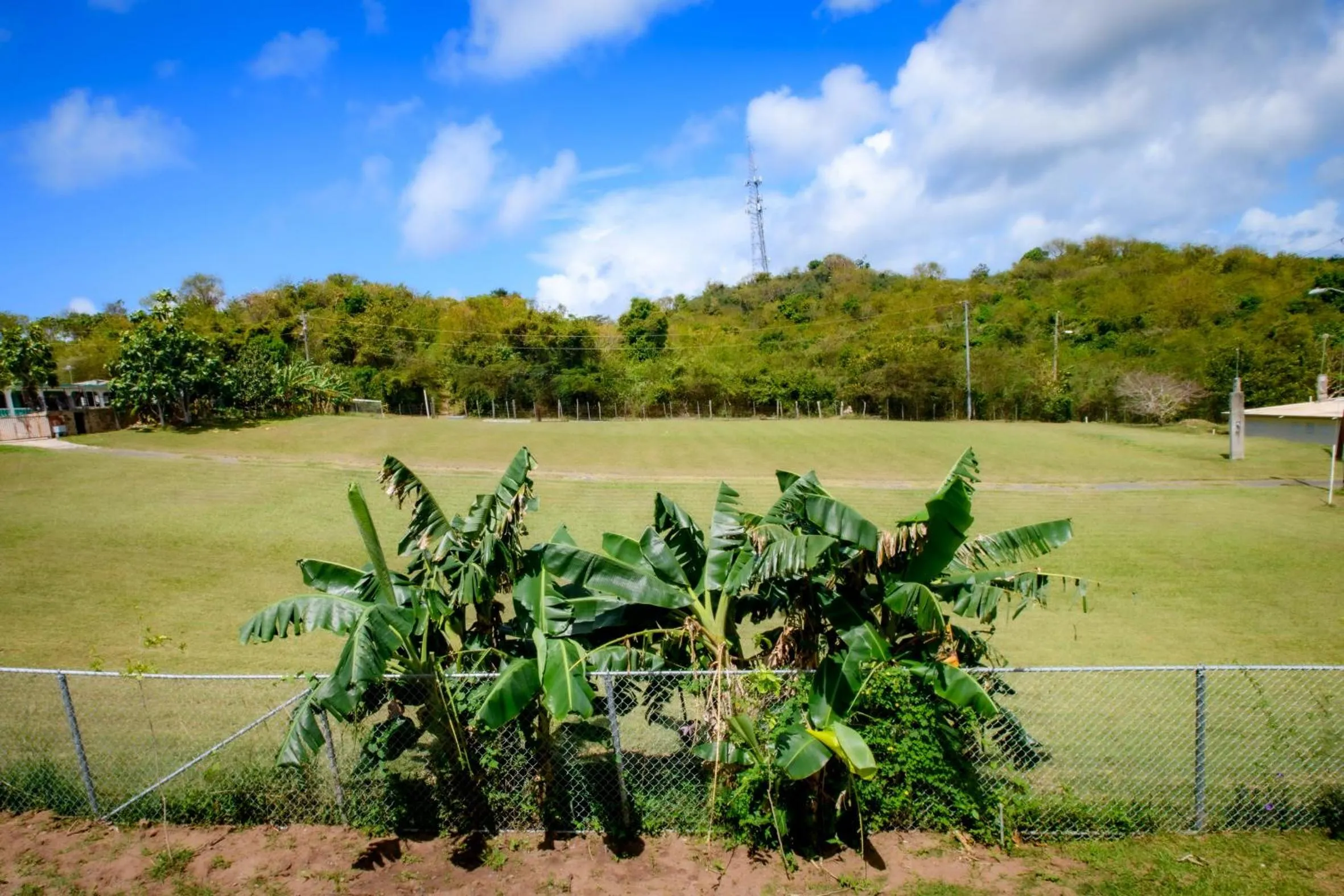 Natural landscape in Club Vieques - Adults Only Resort - LGBT Friendly