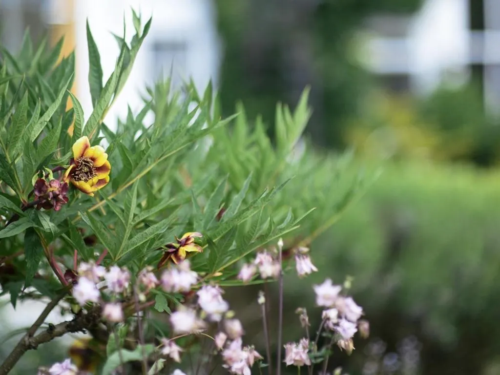 Other in Percy Place Bath