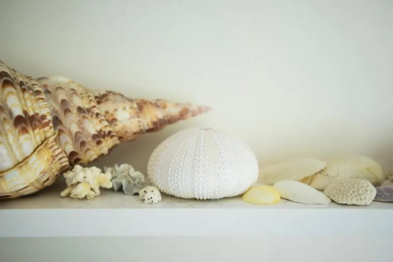 Bathroom in Percy Place Bath