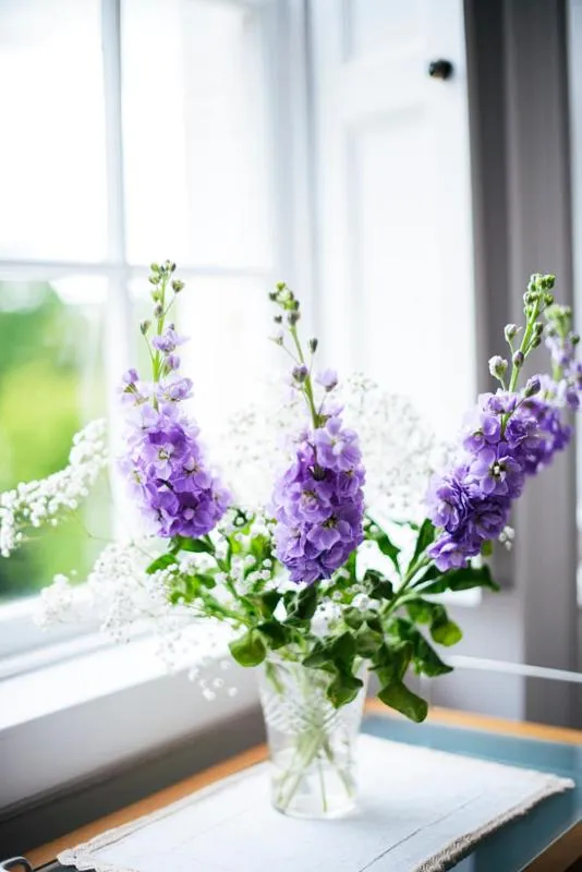 Bedroom in Percy Place Bath