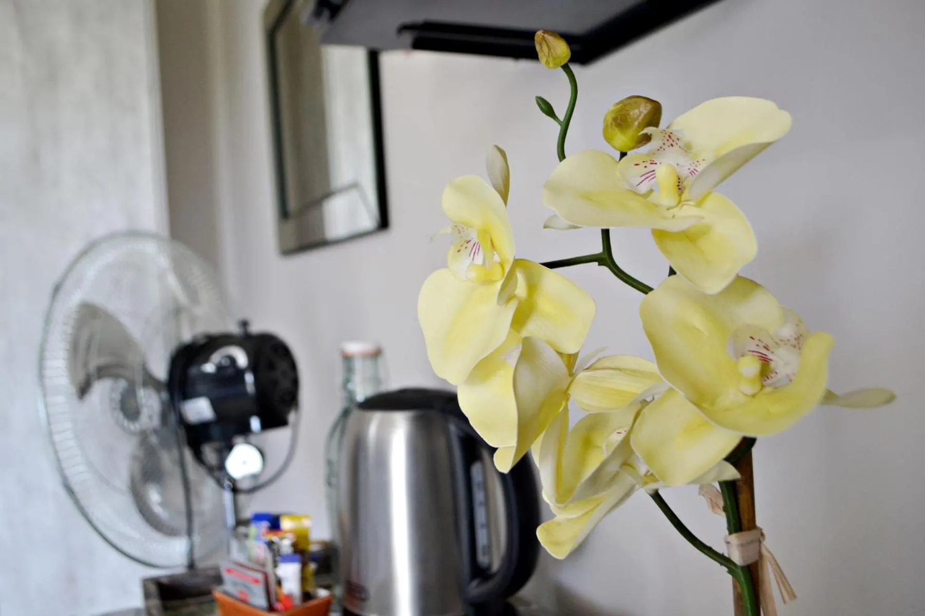 Coffee/tea facilities in Bokmakierie Gastehuis Emalahleni Pty Ltd