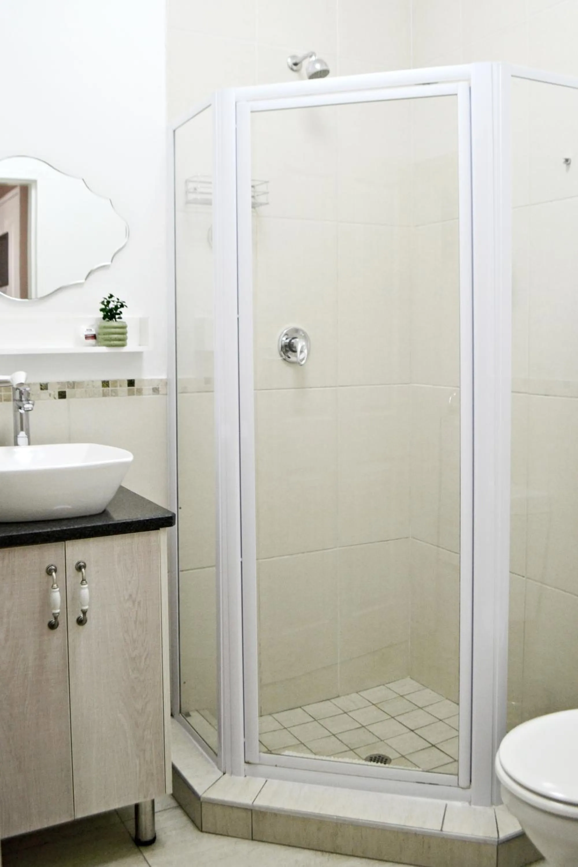 Shower in Bokmakierie Gastehuis Emalahleni Pty Ltd