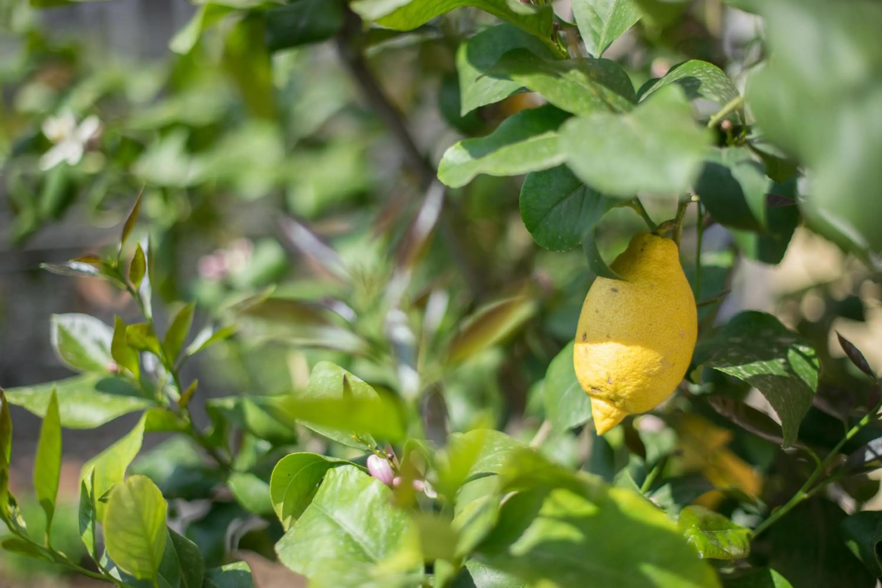 Other in B&B Le Grazie