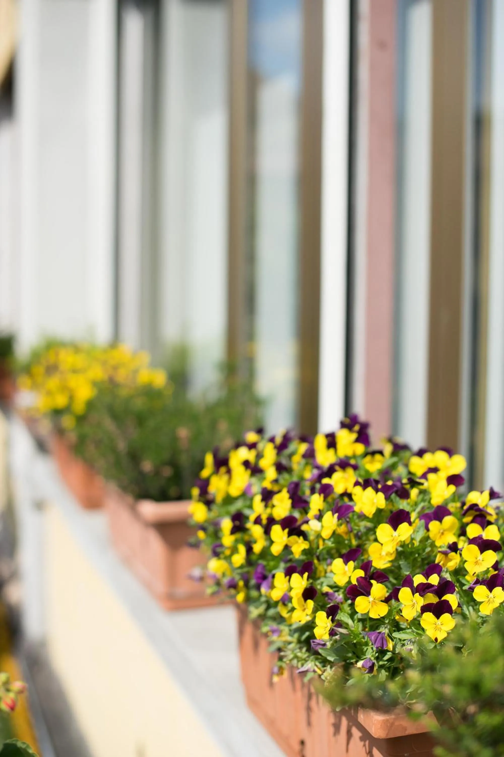 Other in B&B Le Grazie